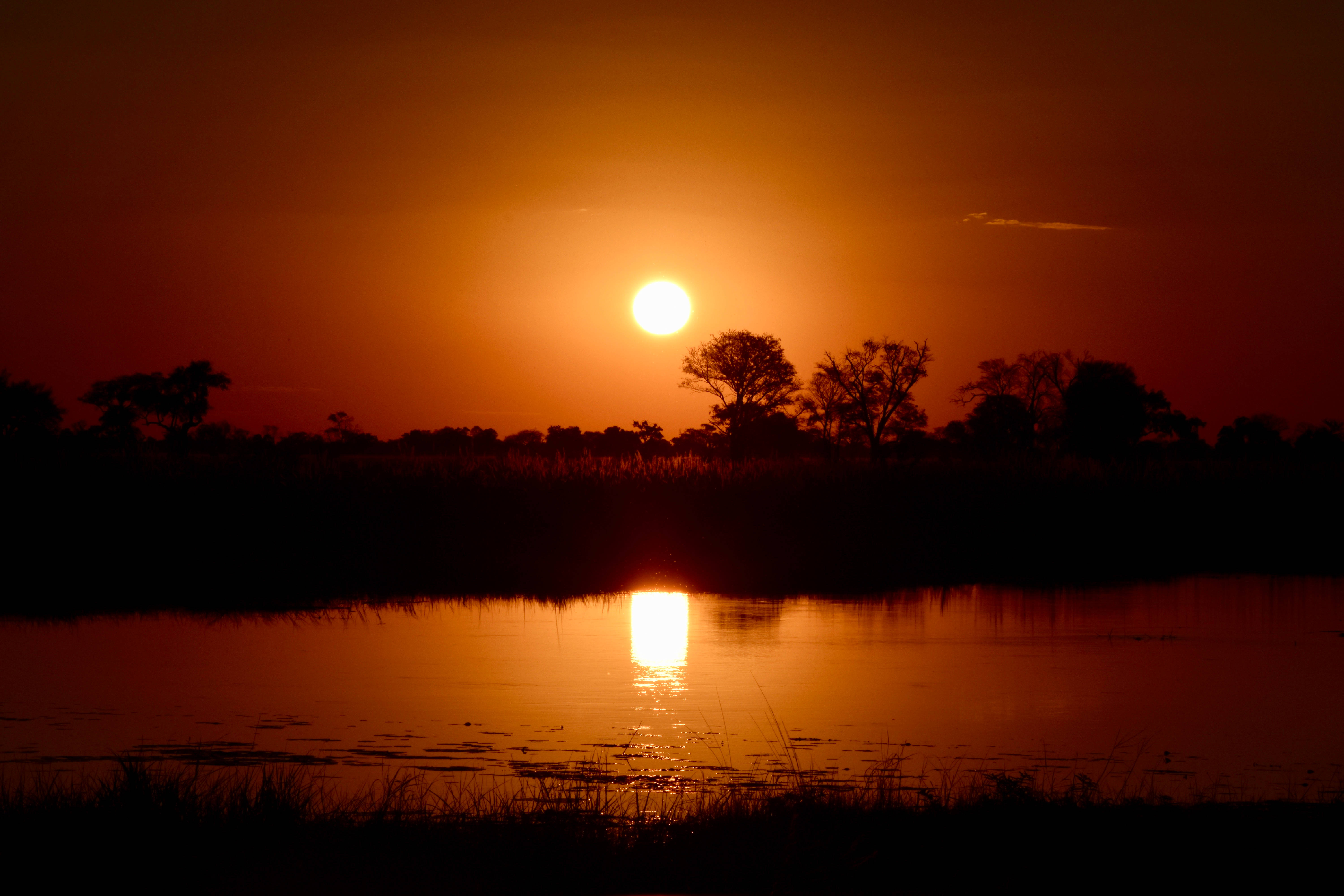 Botswana, river, sunset, 5K Desktop Wallpaper