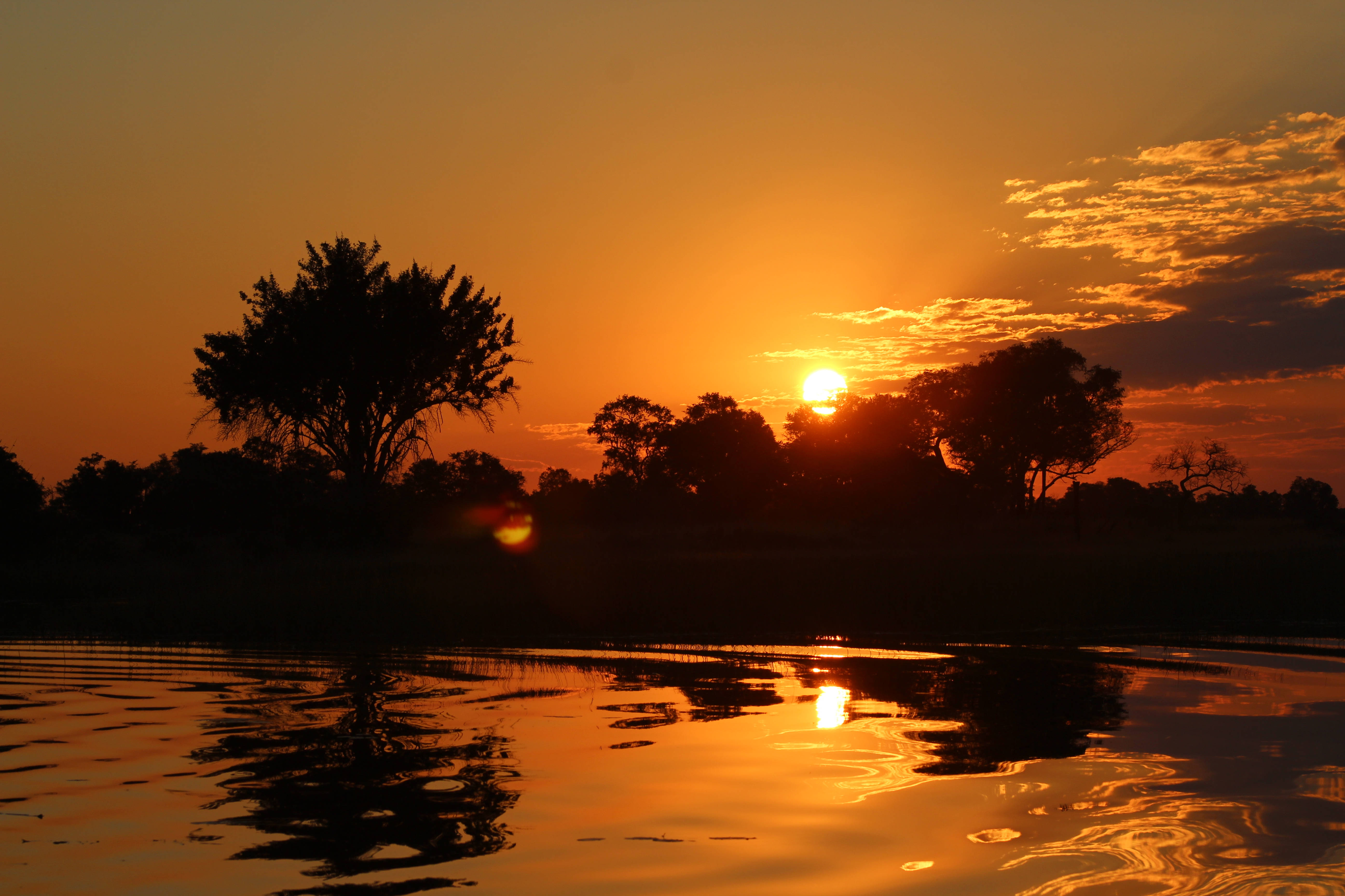 Botswana, sunset, trees, 5K Desktop Wallpaper