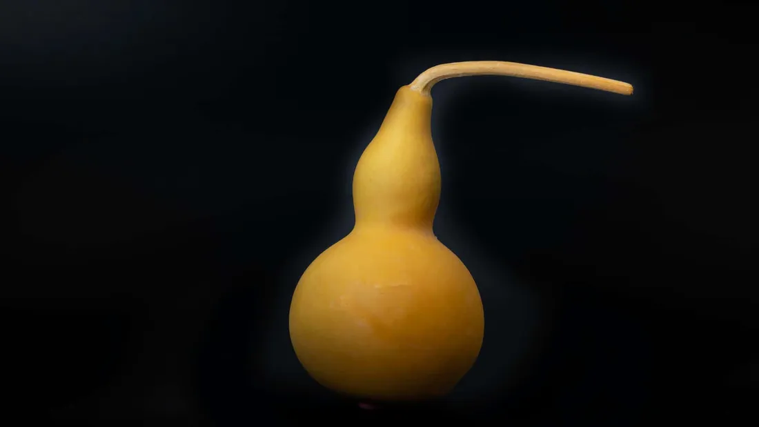 Bottle Gourd