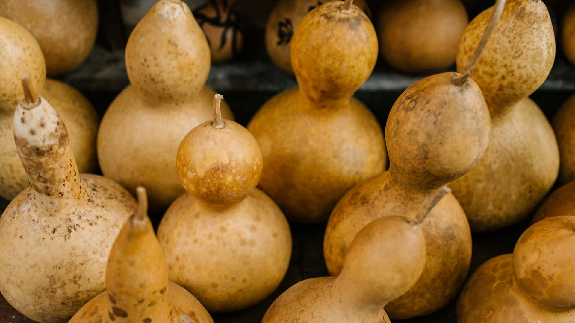 dried bottle gourd, speckled beige surfaces, dense cluster, Full HD Desktop Wallpaper