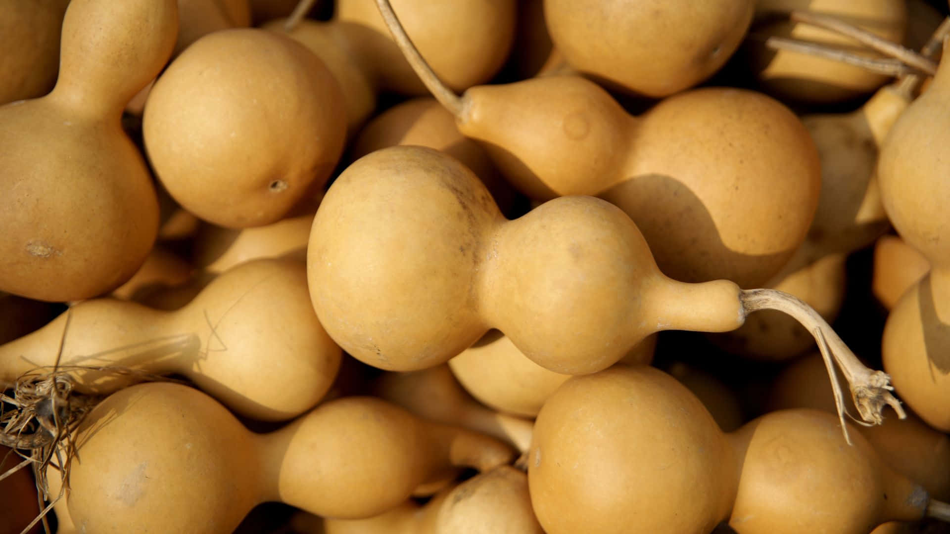 bottle gourd, light brown, bulbous shapes, Full HD Desktop Wallpaper