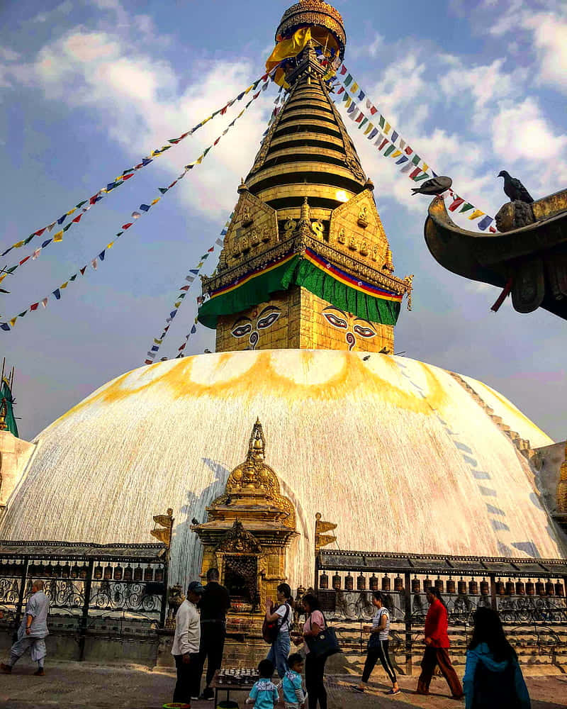 Boudhanath Stupa, mandala, golden stupa, SD Phone Wallpaper