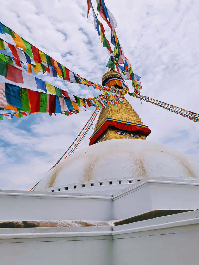 Boudhanath Stupa, golden stupa, watchful eyes, SD Phone Wallpaper