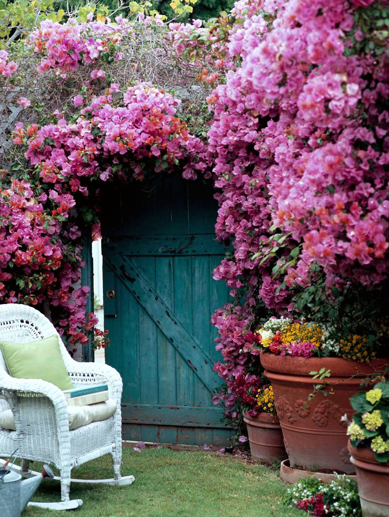 teal door, pink bougainvillea, white wicker chair, HD Phone Wallpaper