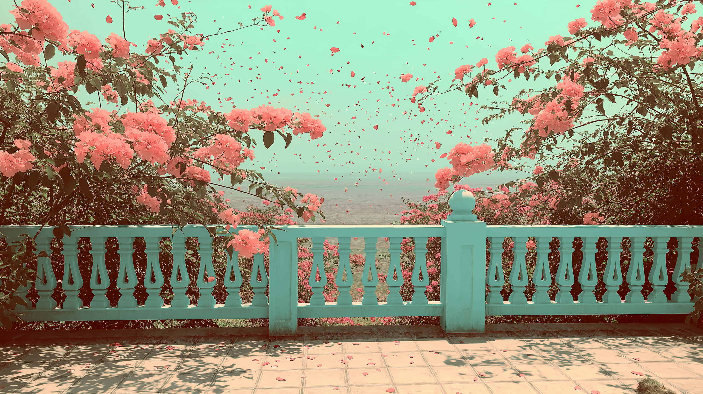 Bougainvillea, pink blossoms, flowering bushes, 2K Desktop Wallpaper