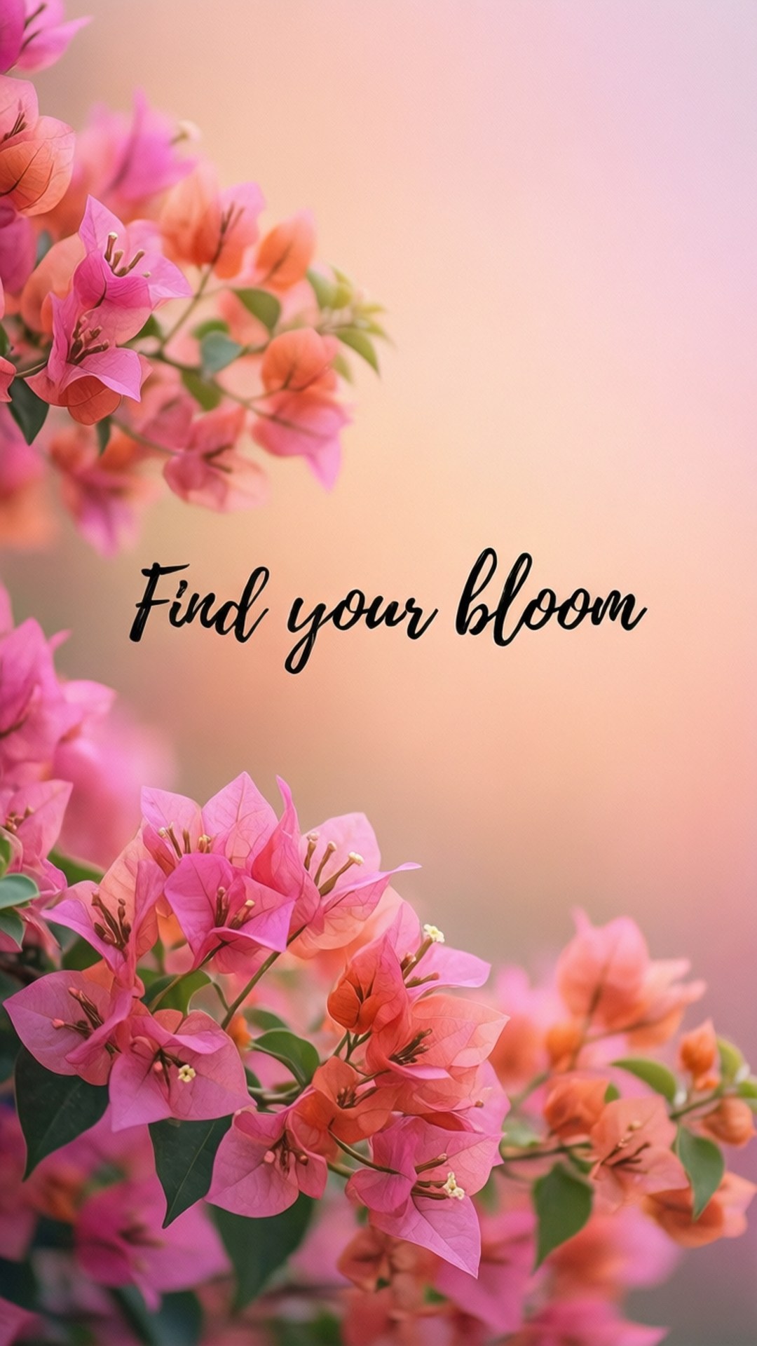pink bougainvillea flowers, soft peach gradient background, elegant black script, Full HD Phone Wallpaper