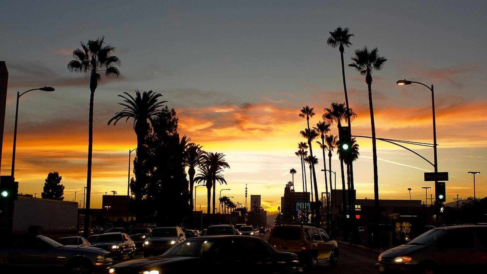 Sunset Boulevard, orange horizon, palm trees, Full HD Desktop Wallpaper