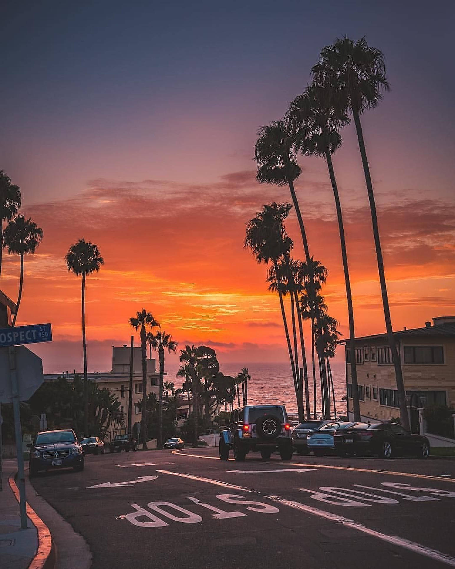 Orange Sunset Boulevard, coastal street, palm trees, Full HD Phone Wallpaper