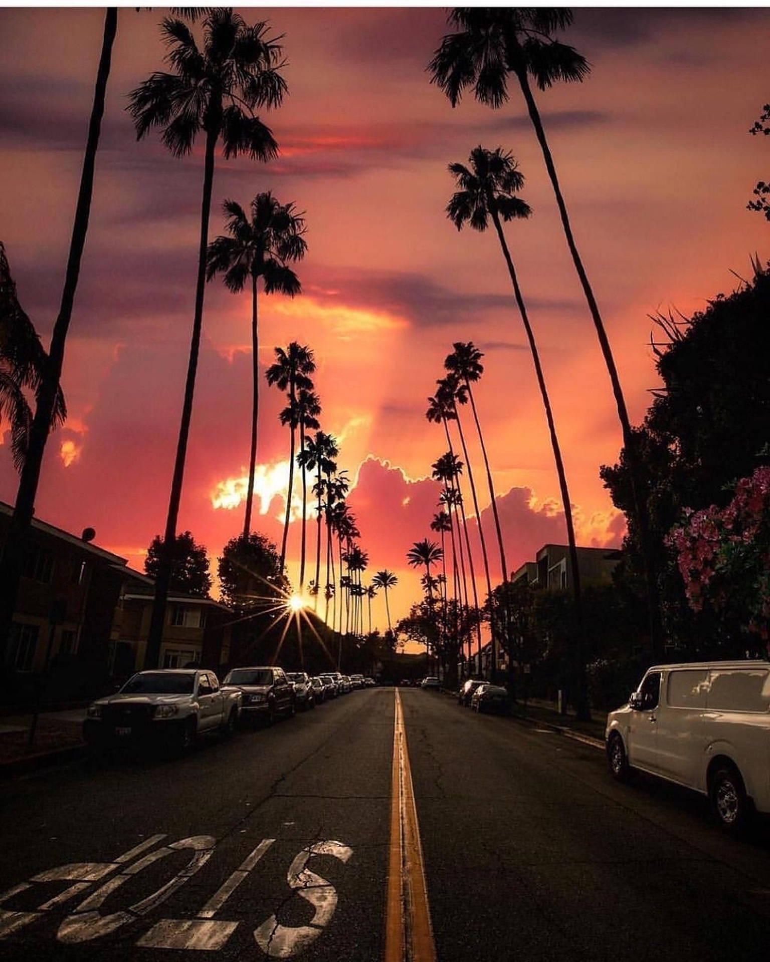 Sunset Boulevard, bright orange sky, fiery sunset sky, Full HD Phone Wallpaper
