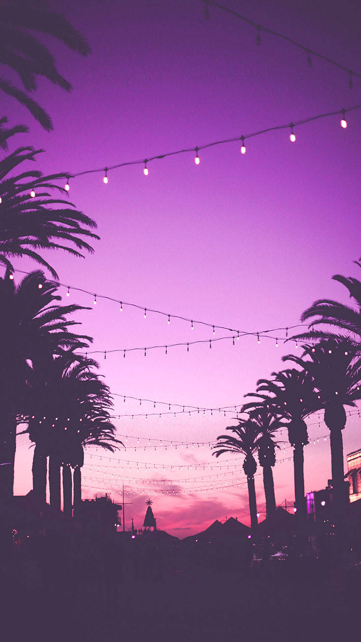 pink sunset, iPhone, palm trees, HD Phone Wallpaper