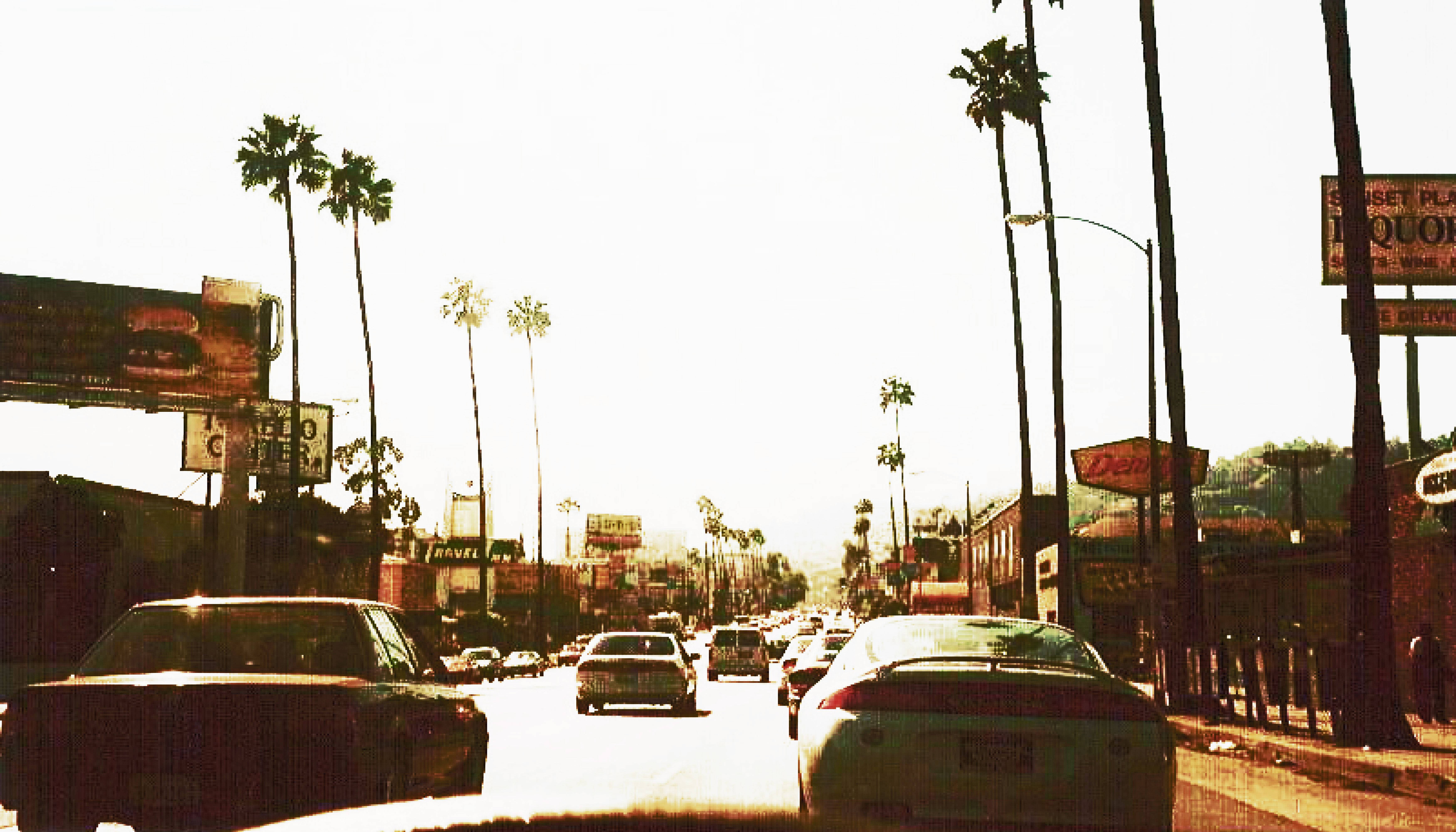 Sunset Boulevard, blinding sun, palm trees, 5K Desktop Wallpaper