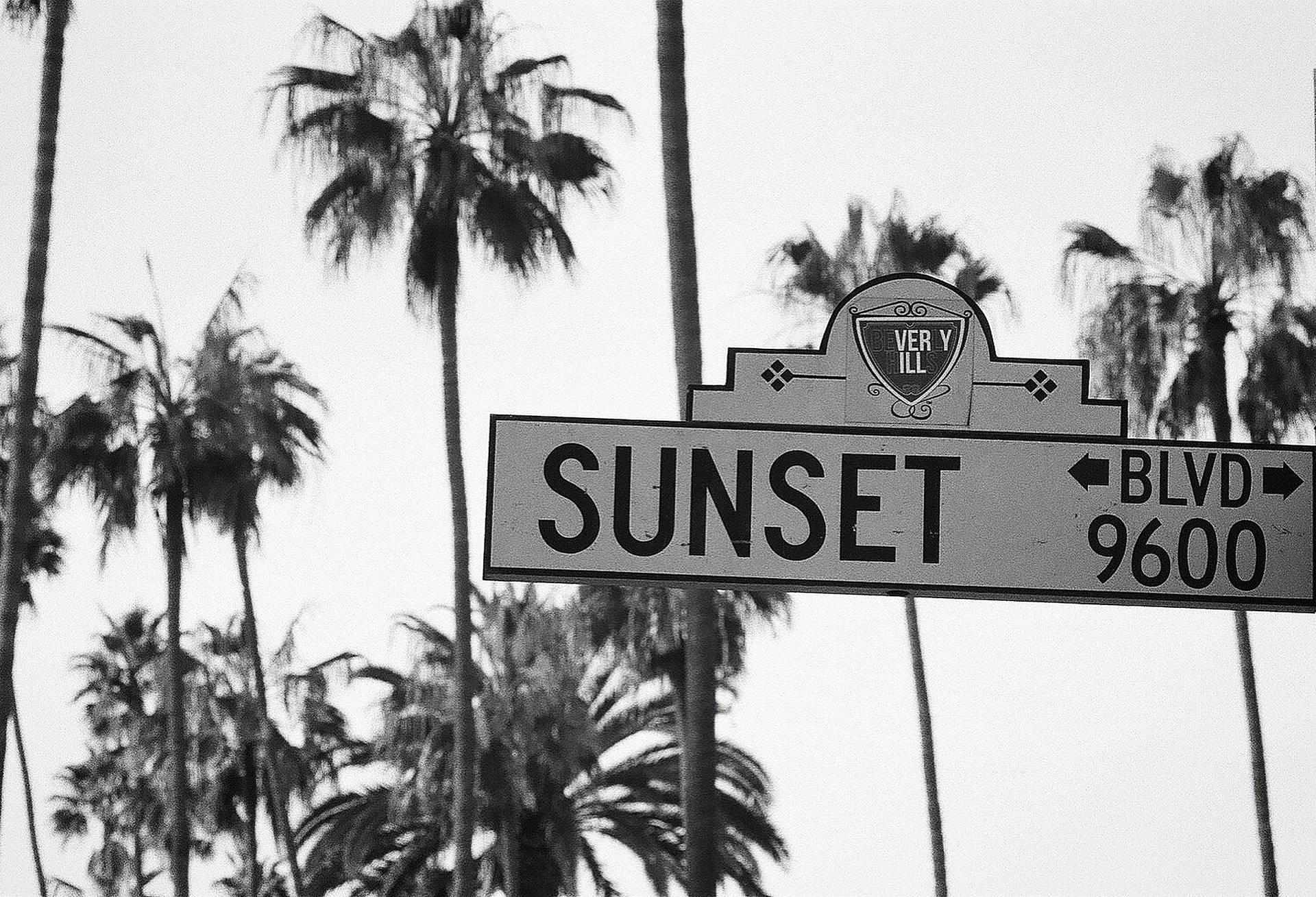 Sunset Boulevard, black and white, street sign, Full HD Desktop Wallpaper