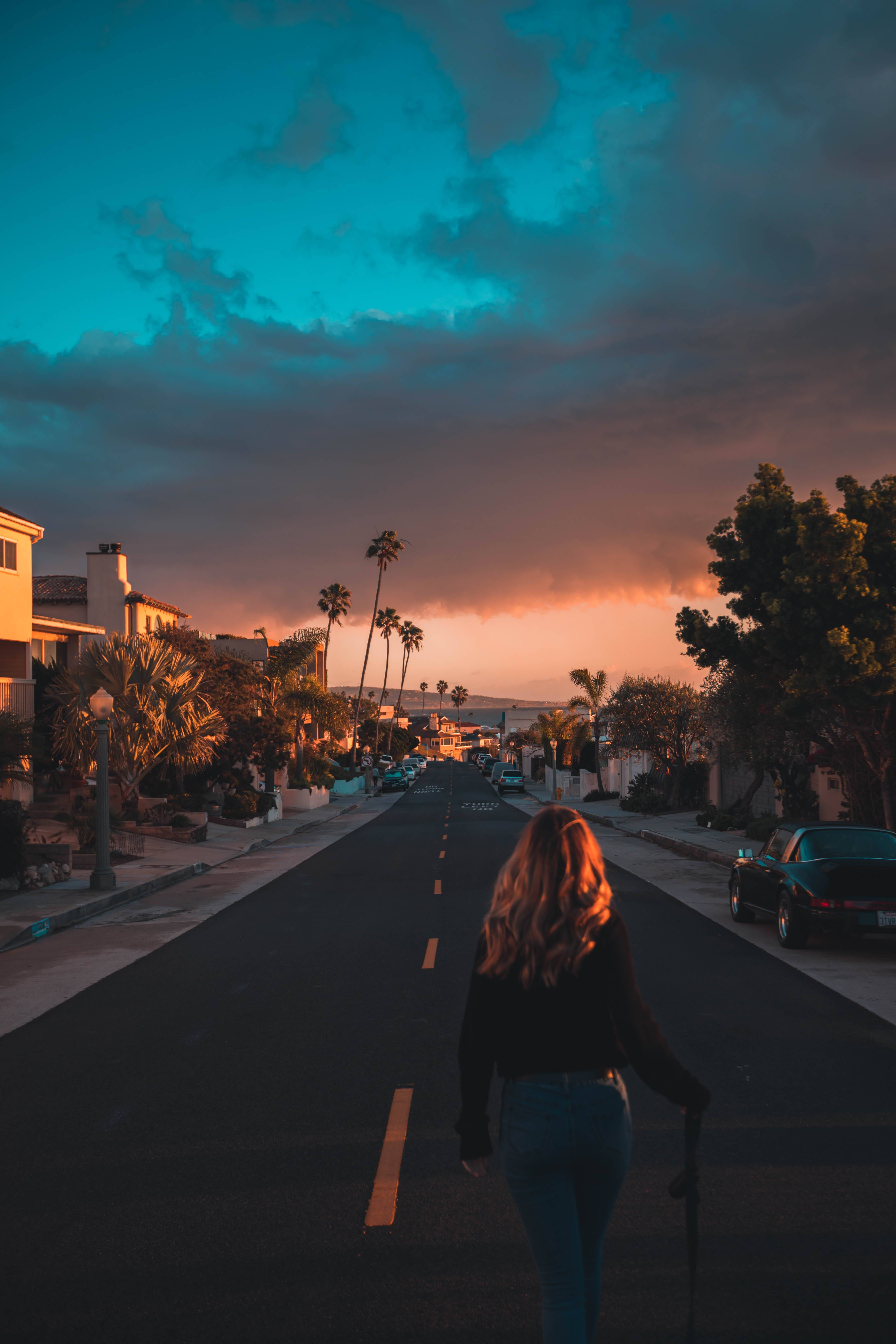 Sunset Boulevard, palm trees, houses, 5K Phone Wallpaper