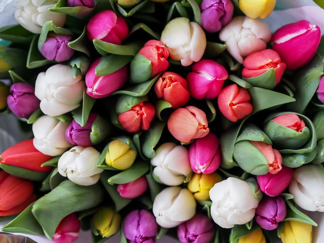 Bouquet