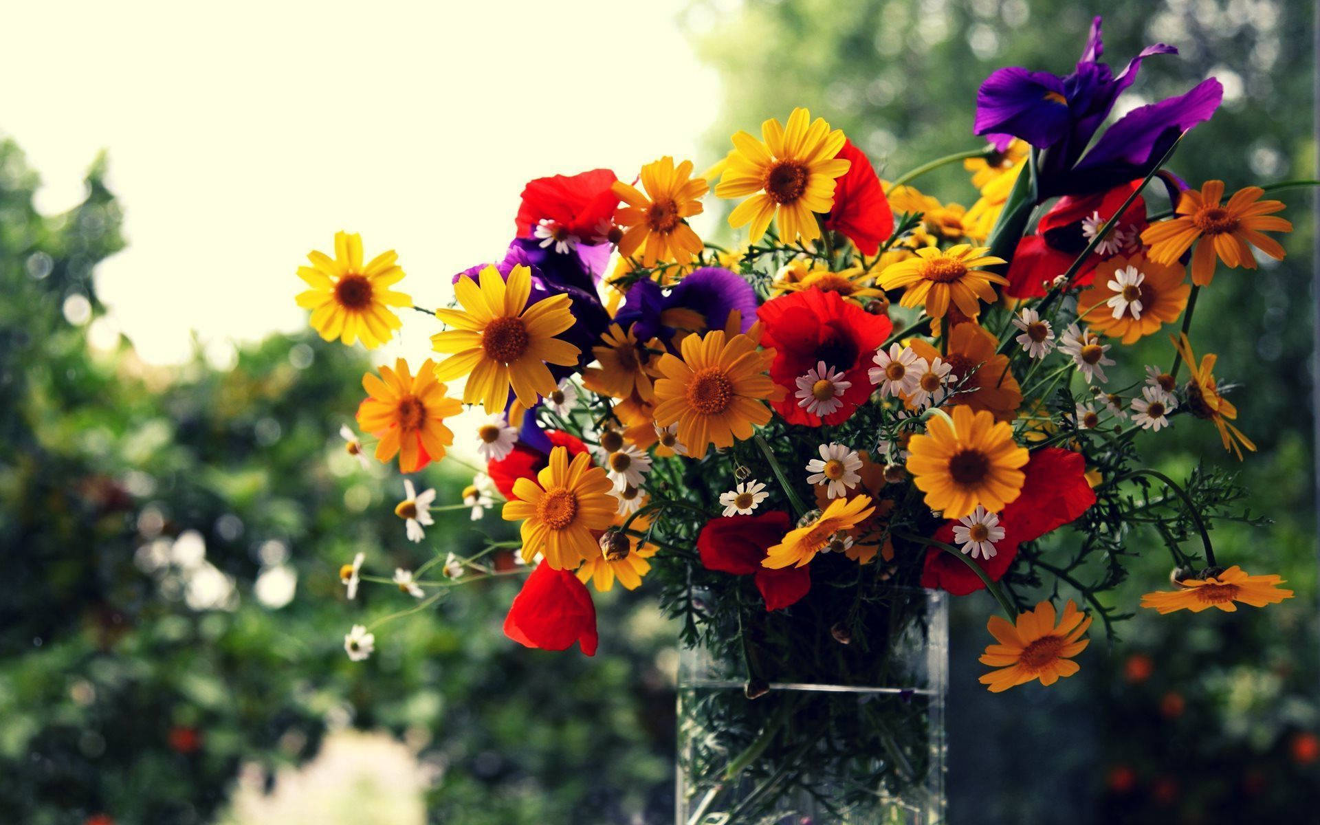 bouquet, sunflowers, glass vase, Full HD Desktop Wallpaper