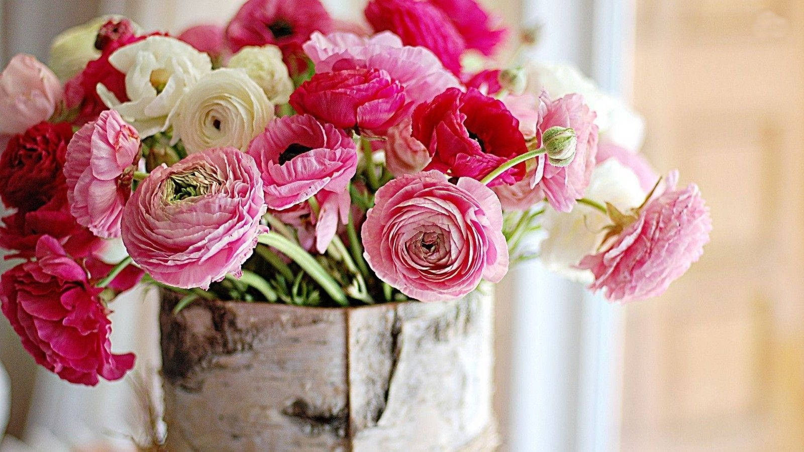 pink roses, vintage vase, ranunculus blooms, HD Desktop Wallpaper