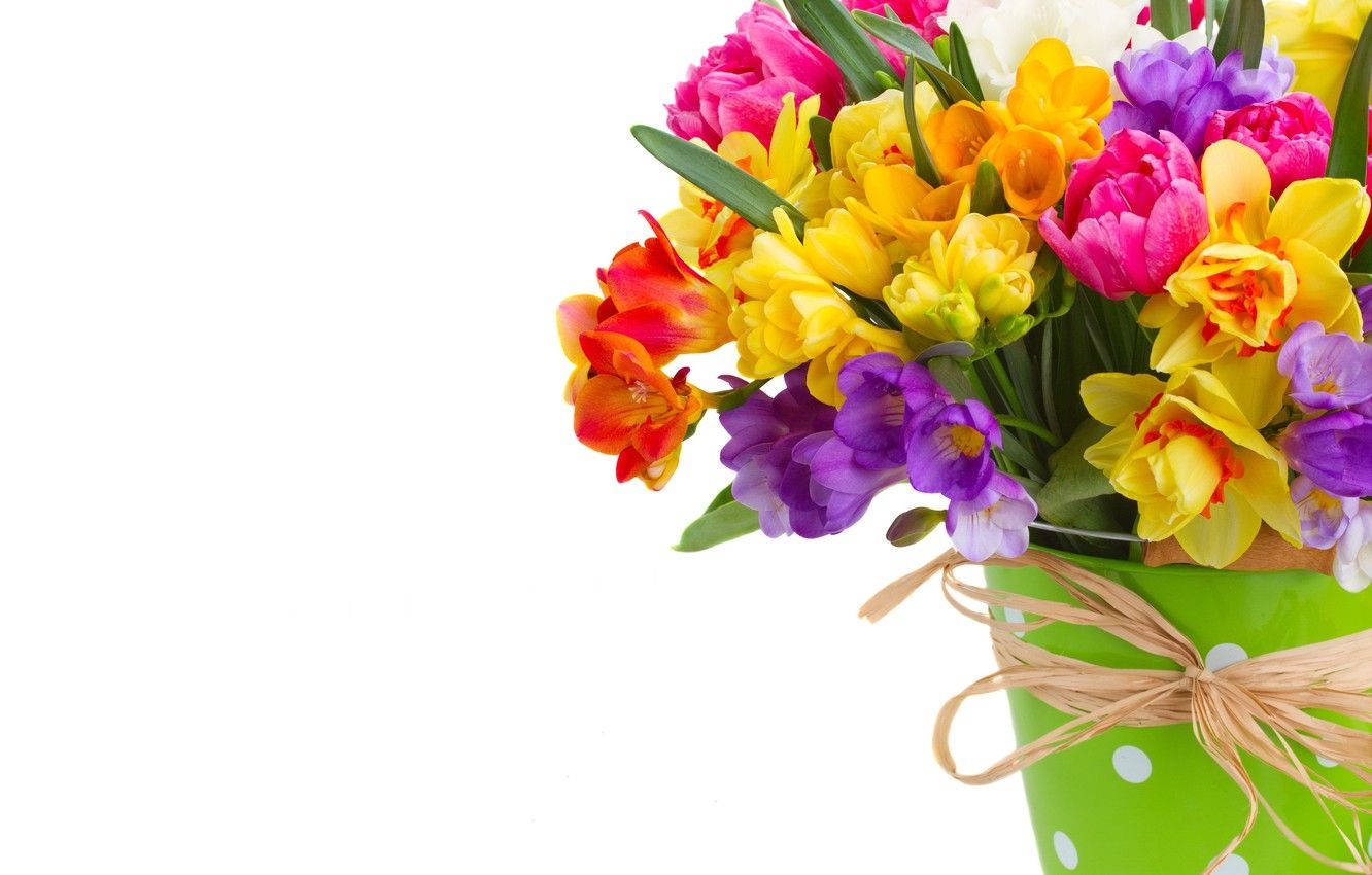 bouquet, green polka dot bucket, twine, HD Desktop Wallpaper