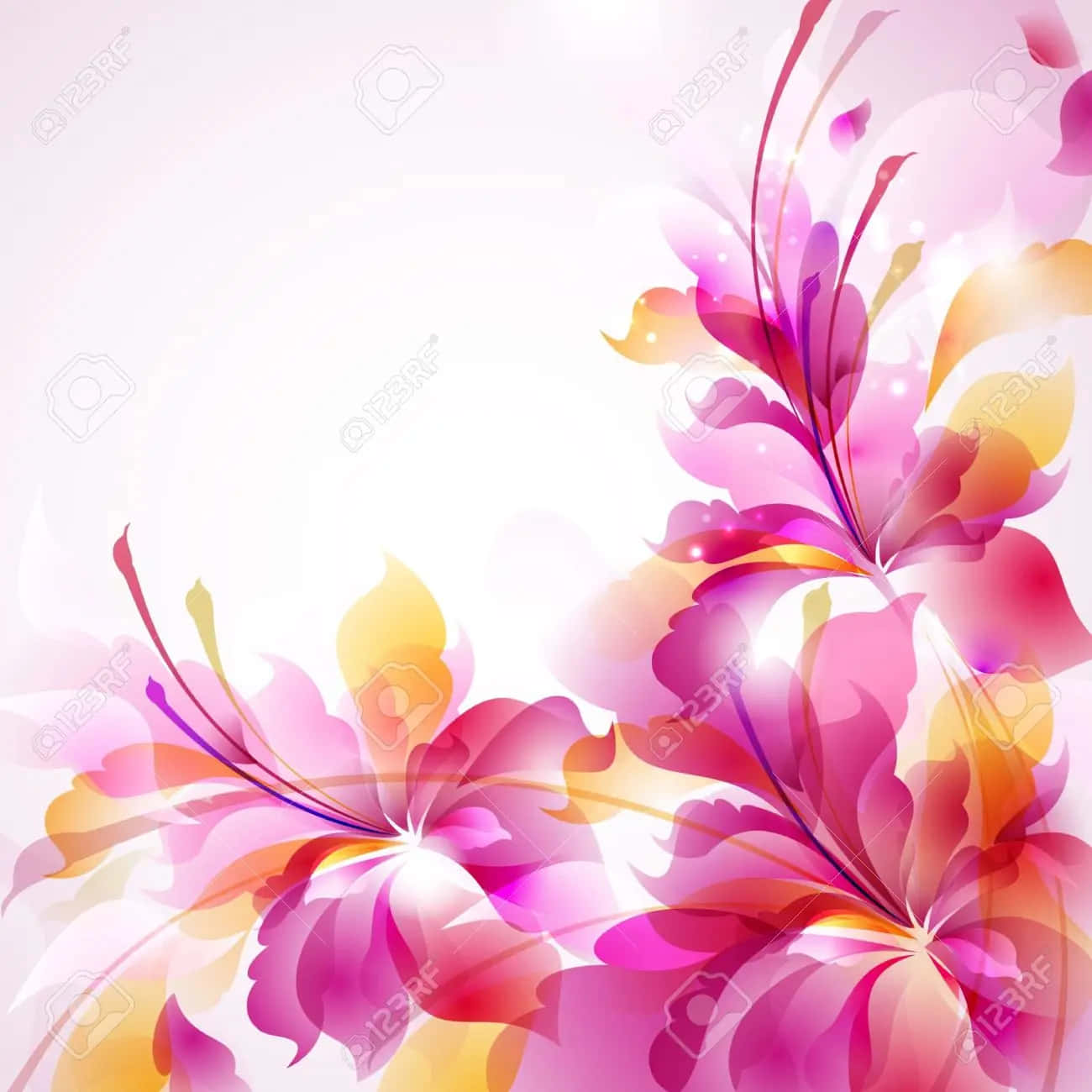 tender pink flower border, pink, orange, HD Desktop Wallpaper