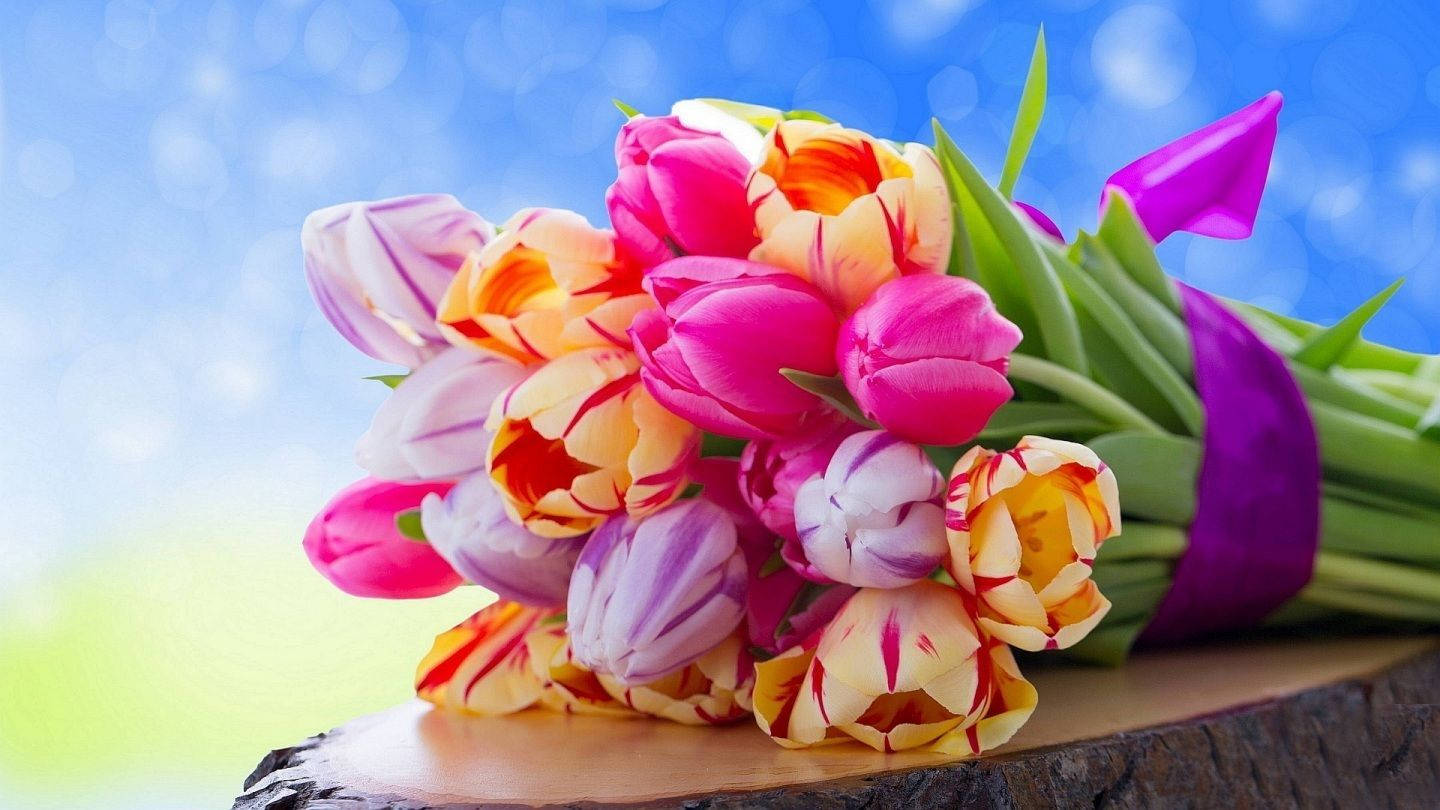 bouquet of tulips, pink purple and yellow tulips, purple ribbon, HD Desktop Wallpaper