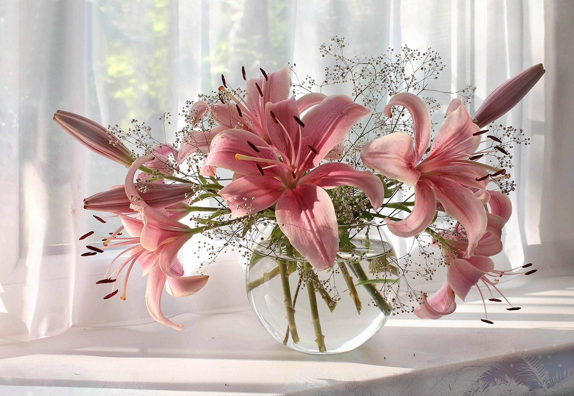 pink lilies, baby's breath, clear glass vase, Full HD Desktop Wallpaper