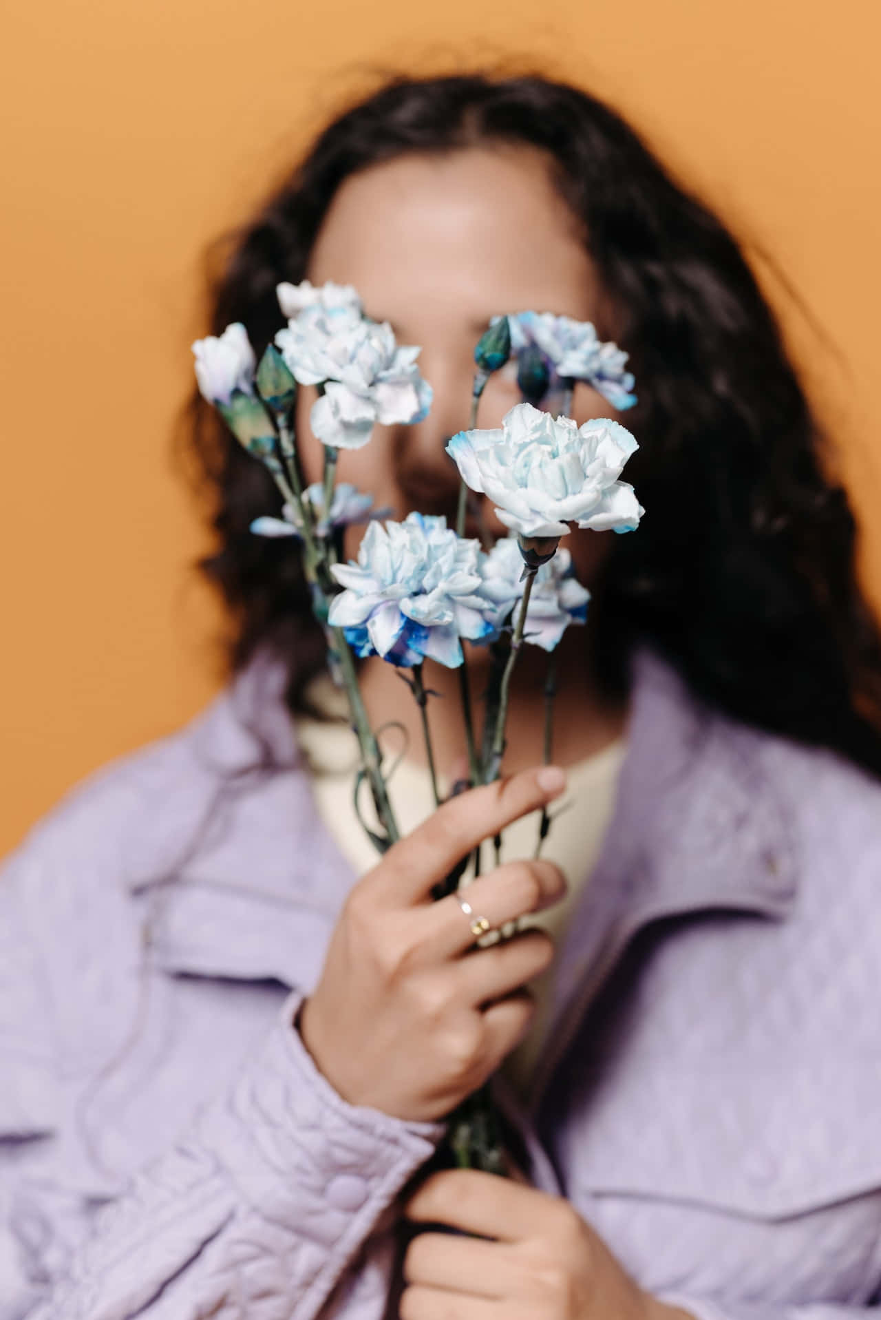 light blue carnations, dark hair, warm orange background, HD Phone Wallpaper