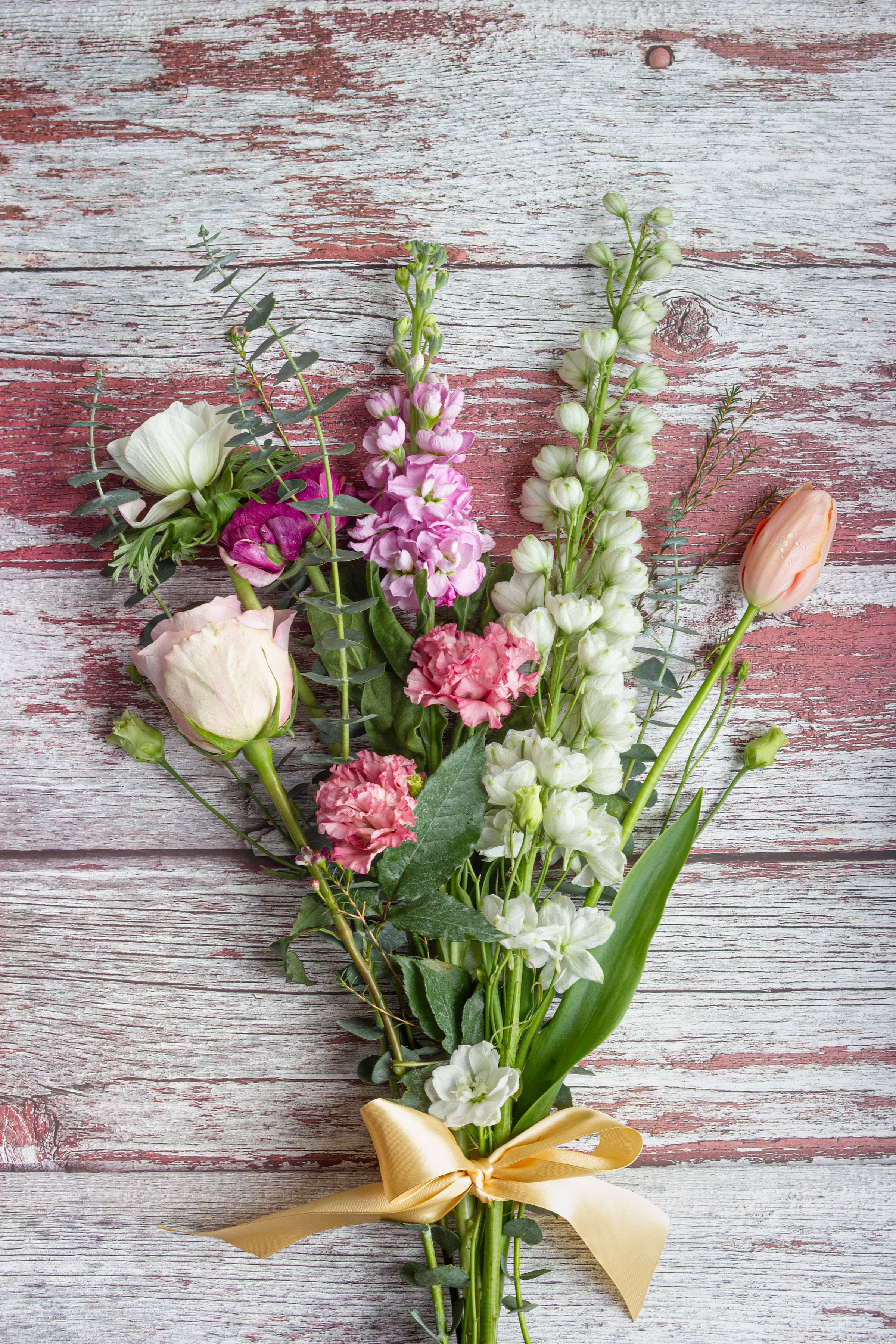 hoary stock roses, carnations, golden bow, 2K Phone Wallpaper
