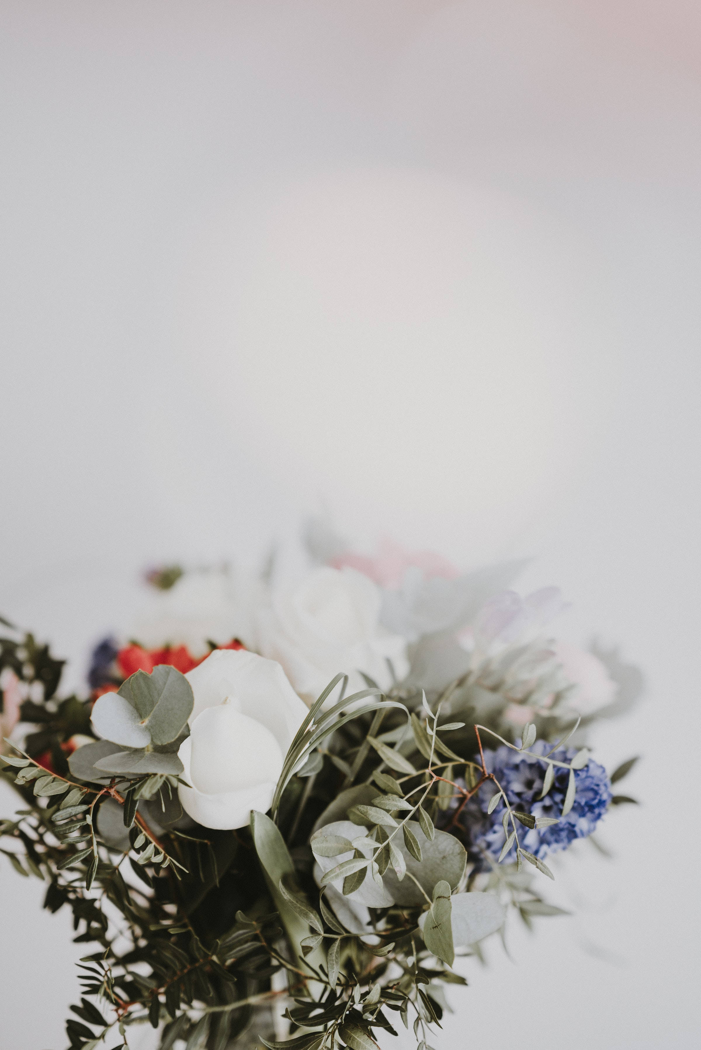 white roses, blue hydrangeas, eucalyptus, 2K Phone Wallpaper