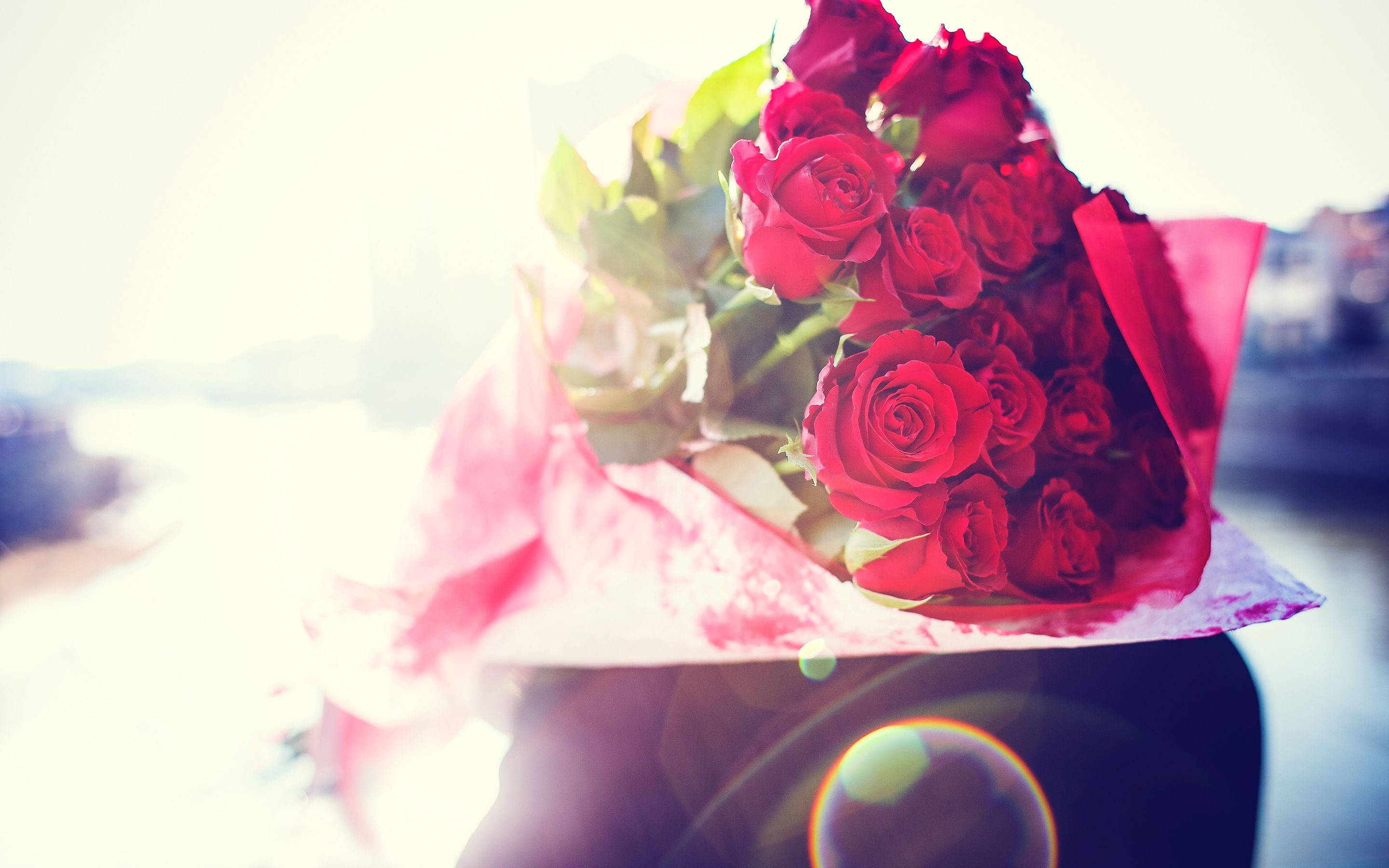 bouquet of roses, red roses, pink paper, 2K Desktop Wallpaper