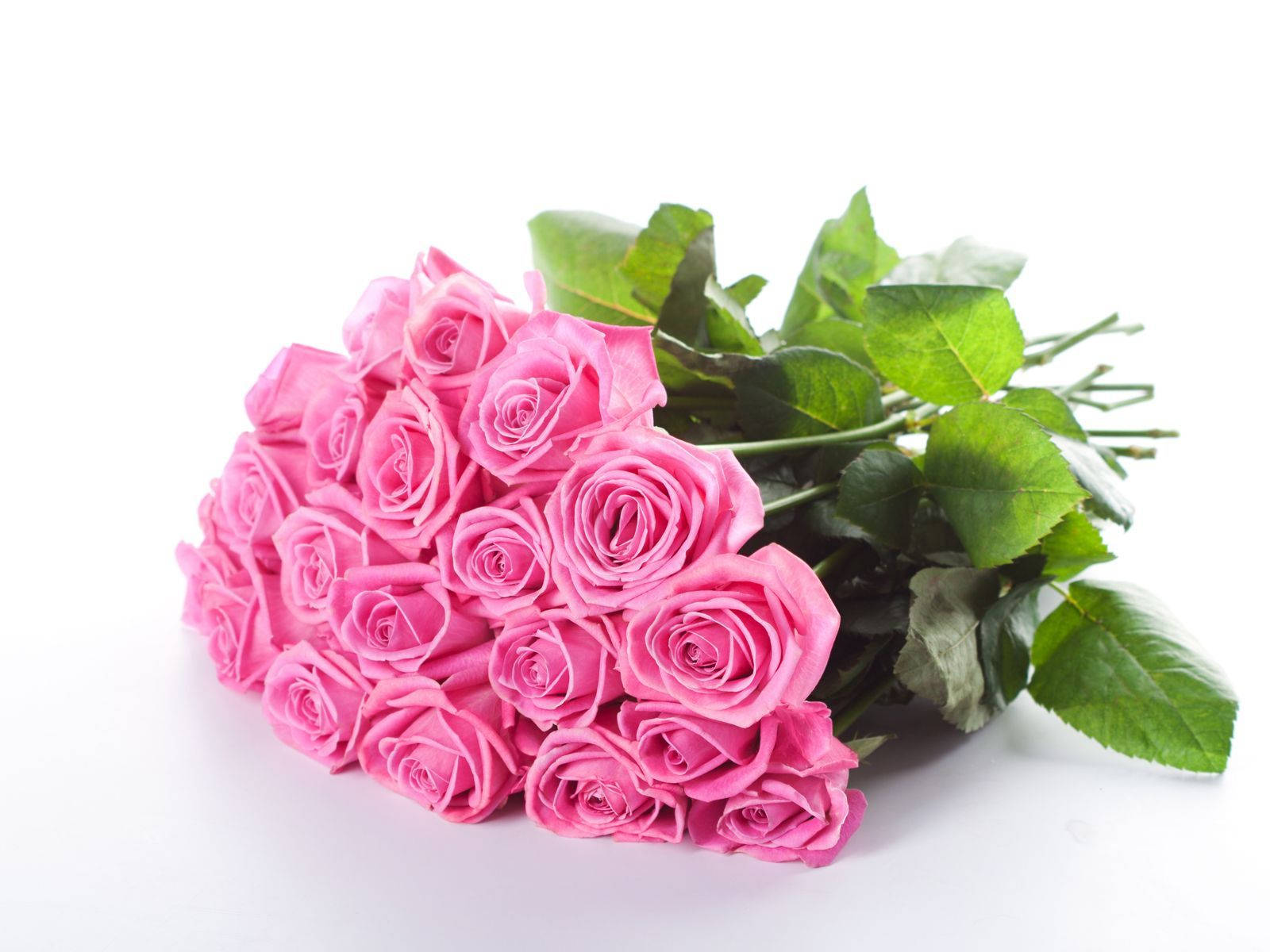 bouquet, pink roses, lush green leaves, HD Desktop Wallpaper