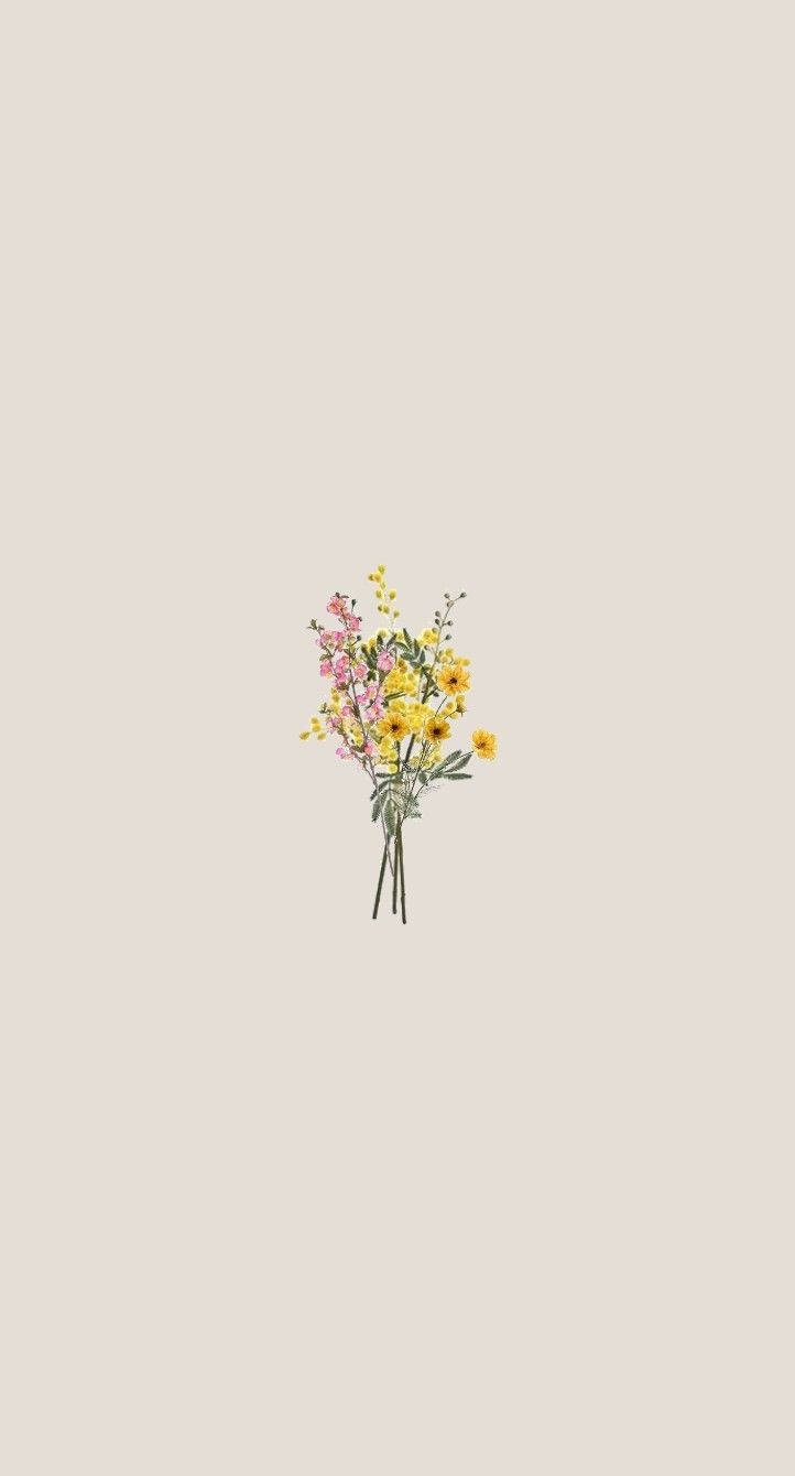 yellow sunflowers, pink blossoms, soft beige background, HD Phone Wallpaper