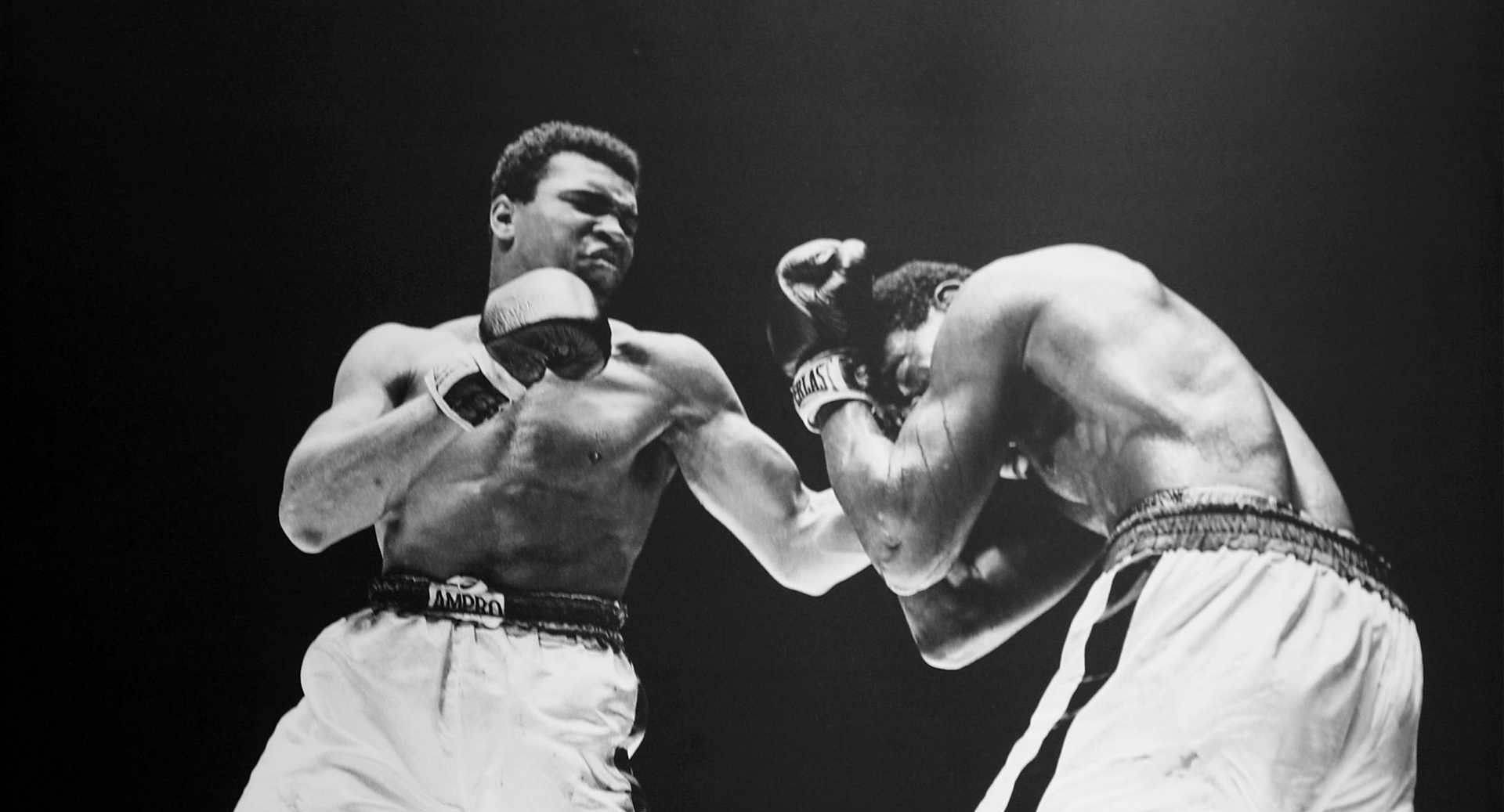Cool Boxing Left Jab, black and white photo, boxer, Full HD Desktop Wallpaper