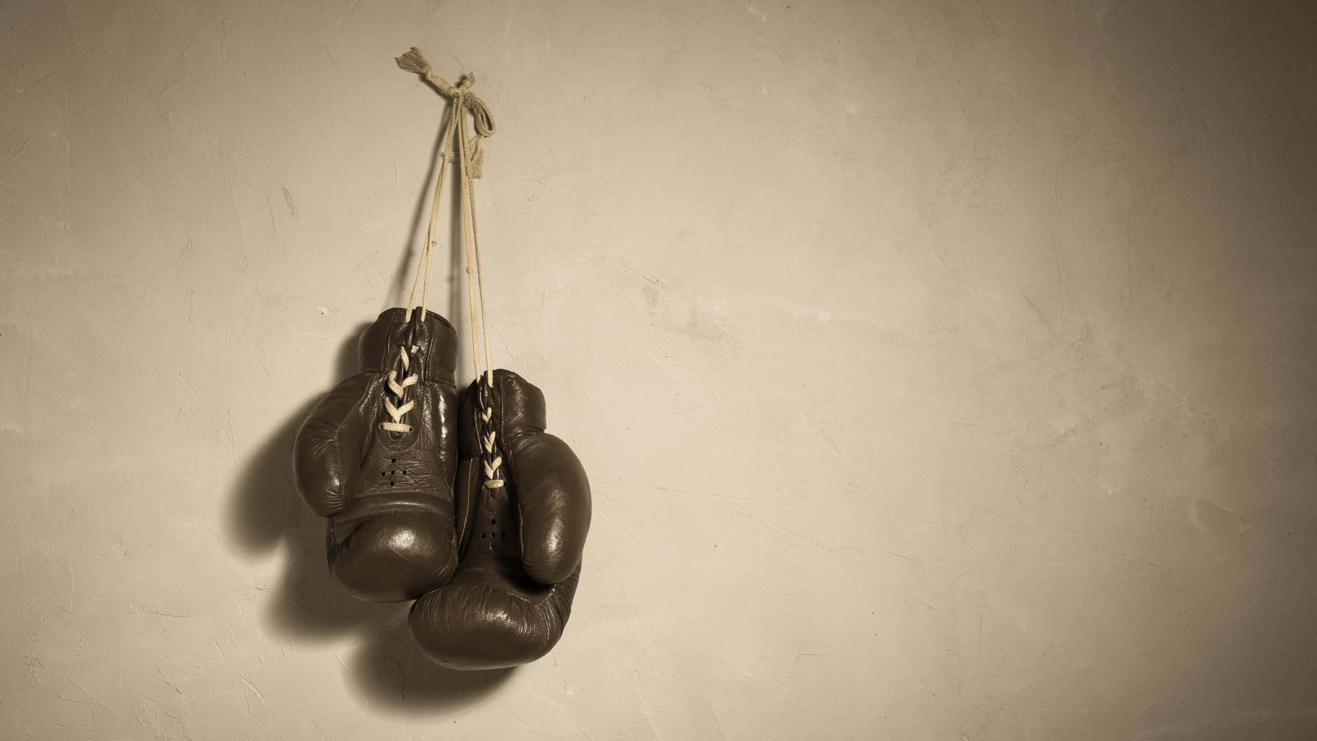 vintage boxing gloves, brown leather, twine, 2K Desktop Wallpaper