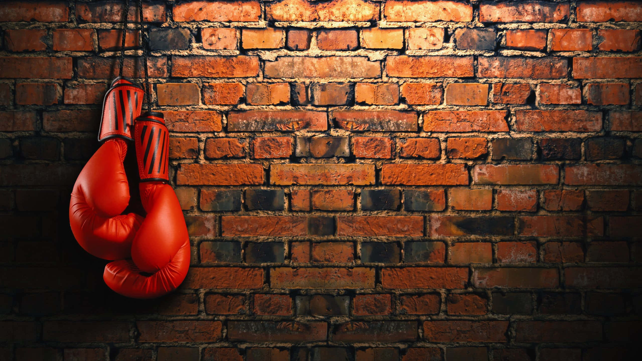 red boxing gloves, rope, weathered brick wall, 2K Desktop Wallpaper