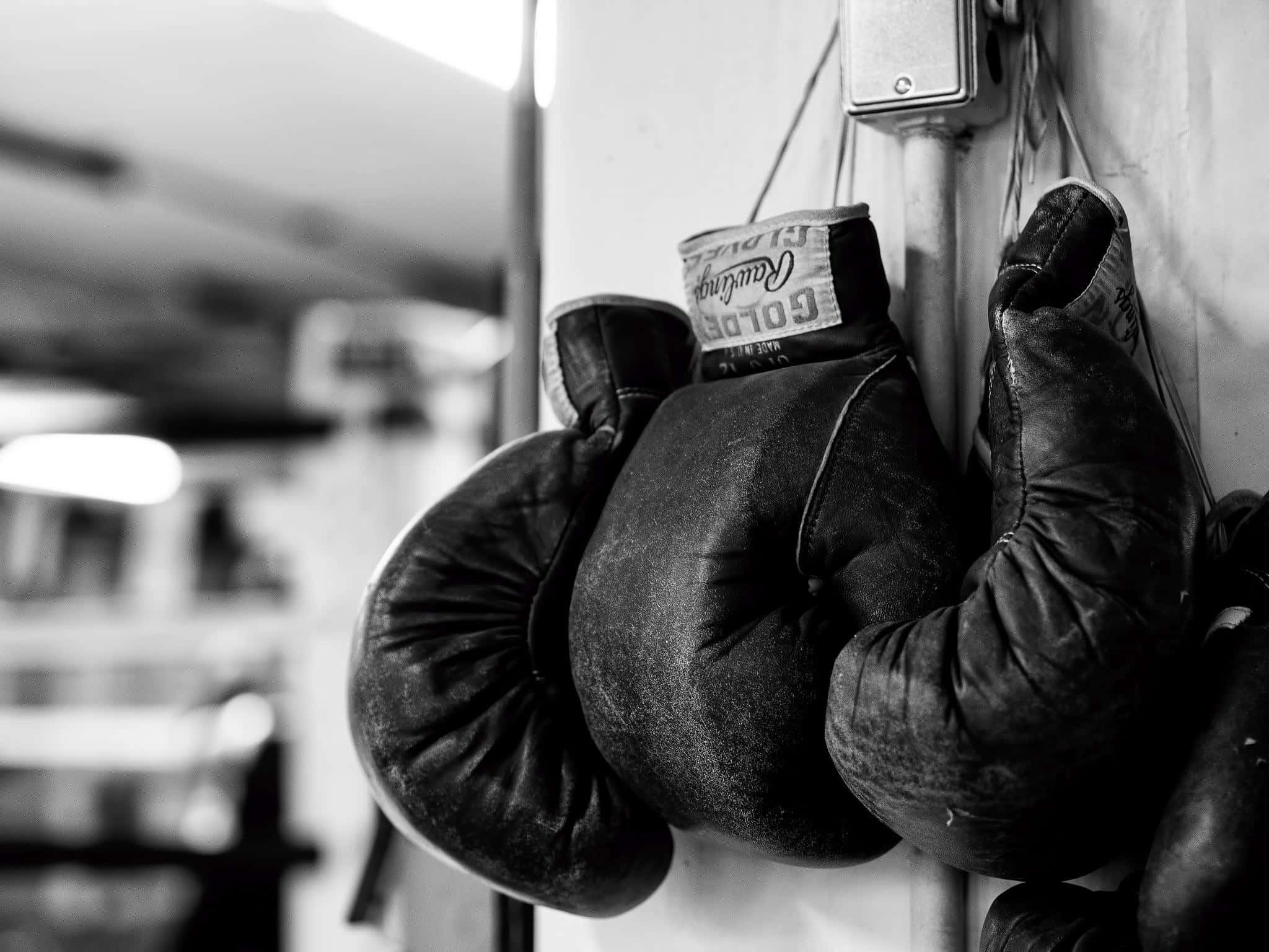 hanging boxing gloves, monochrome, black and white, Full HD Desktop Wallpaper