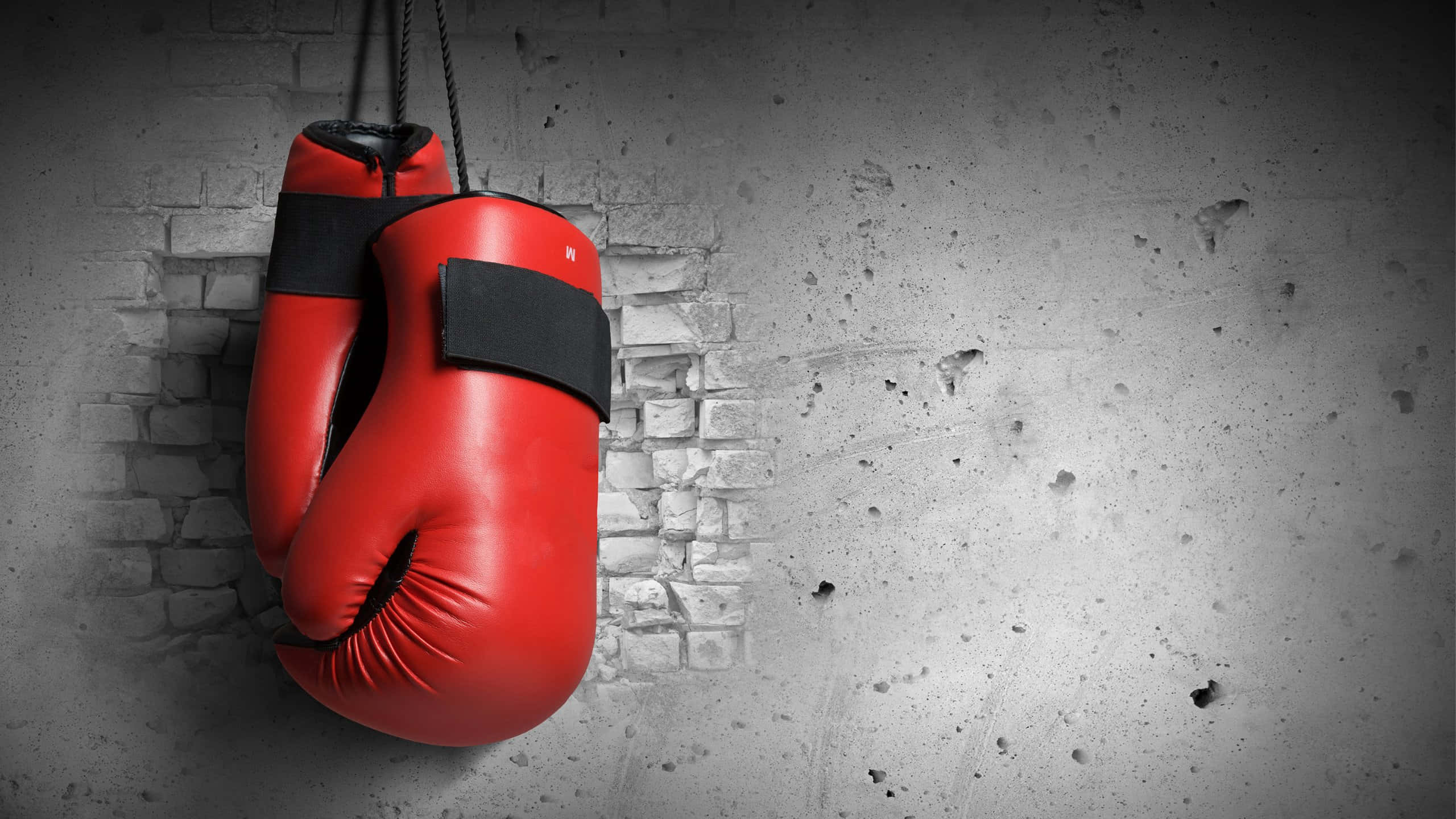 red boxing gloves, ropes, weathered brick and concrete wall, 2K Desktop Wallpaper