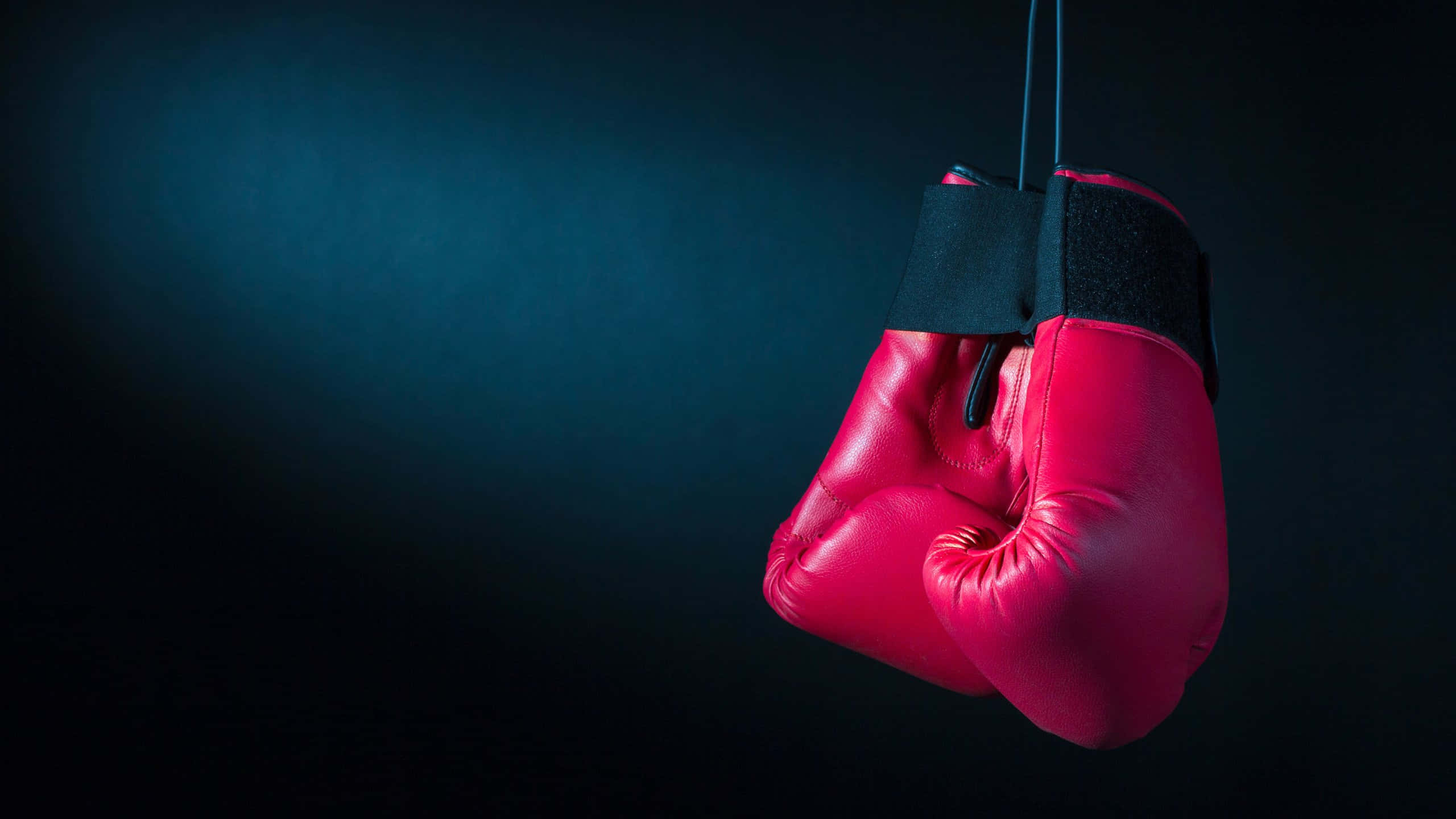 red boxing gloves, dark blue and black backdrop, suspended by a strap, 2K Desktop Wallpaper