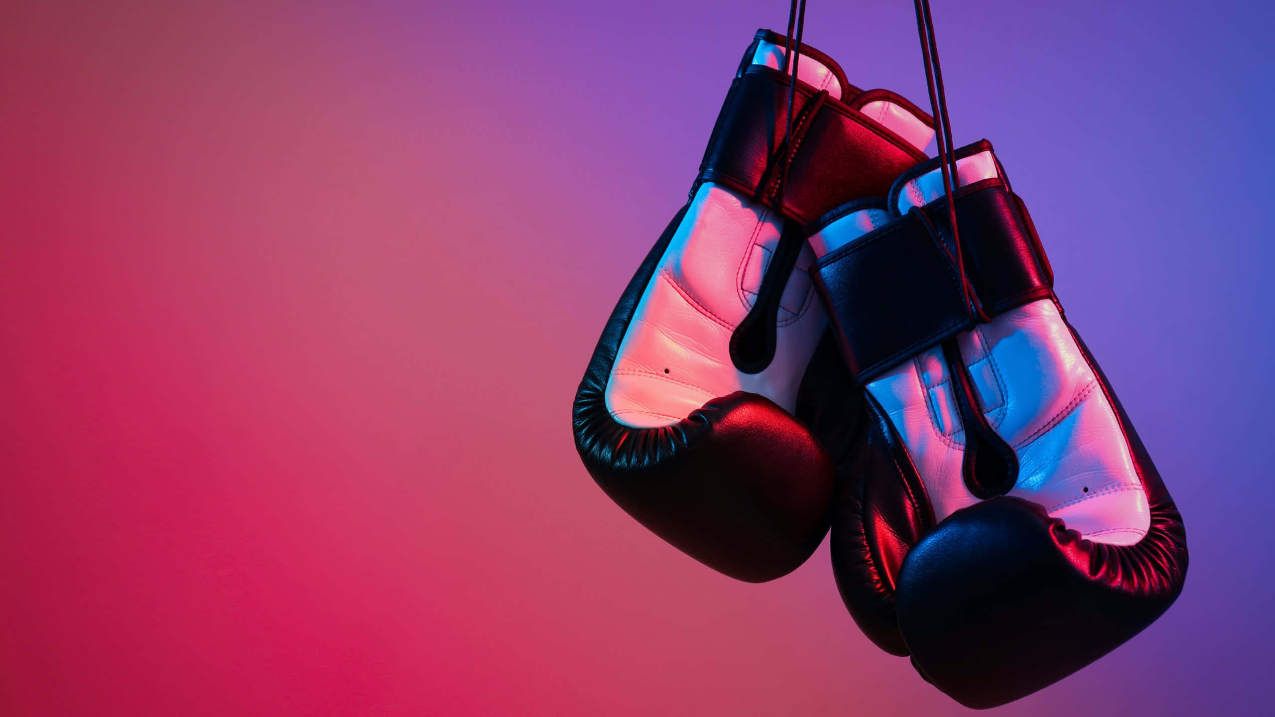 boxing gloves, neon lights, pink and purple neon lights, 2K Desktop Wallpaper