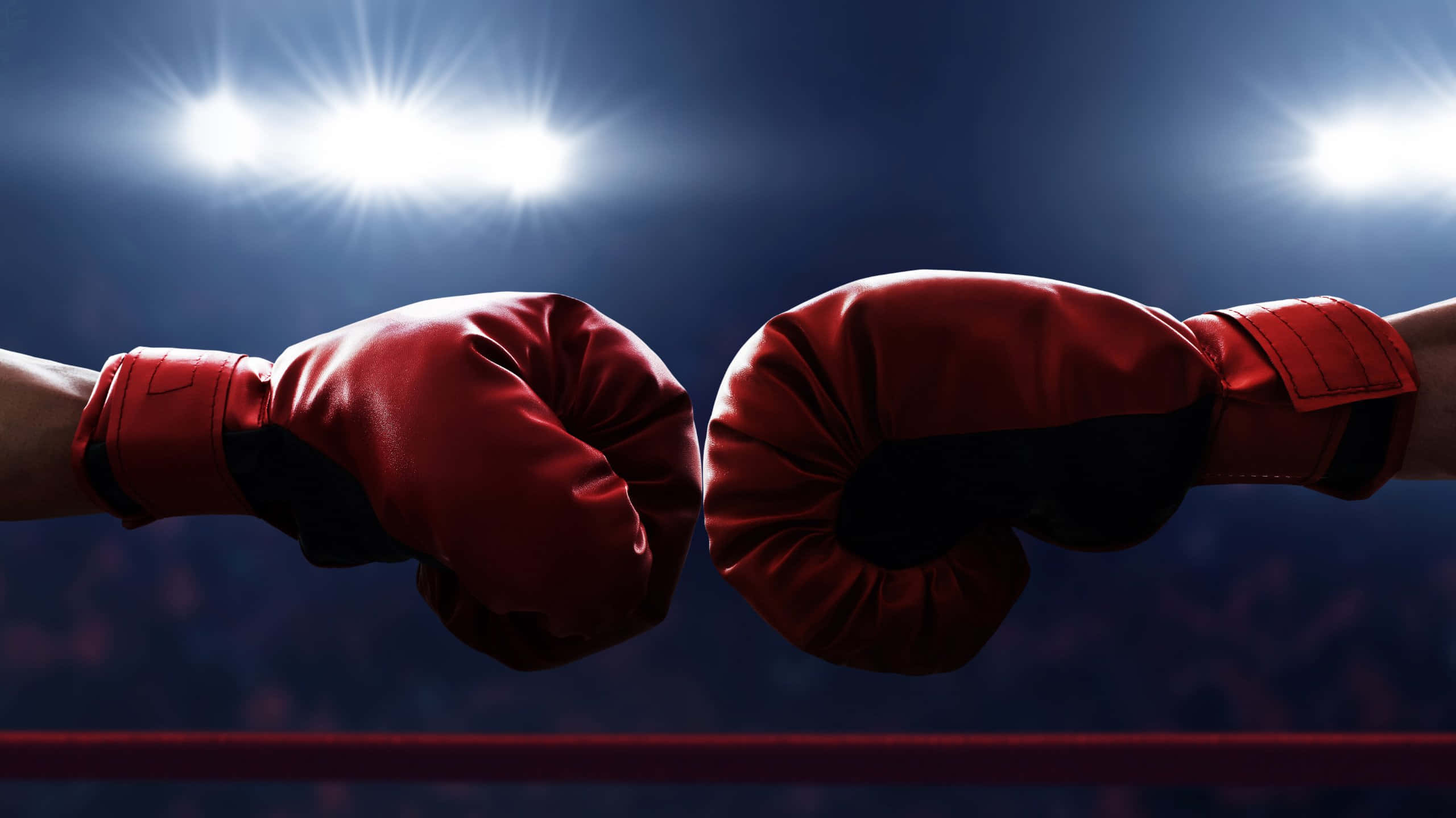 boxing gloves, fist bump, spotlight, 2K Desktop Wallpaper
