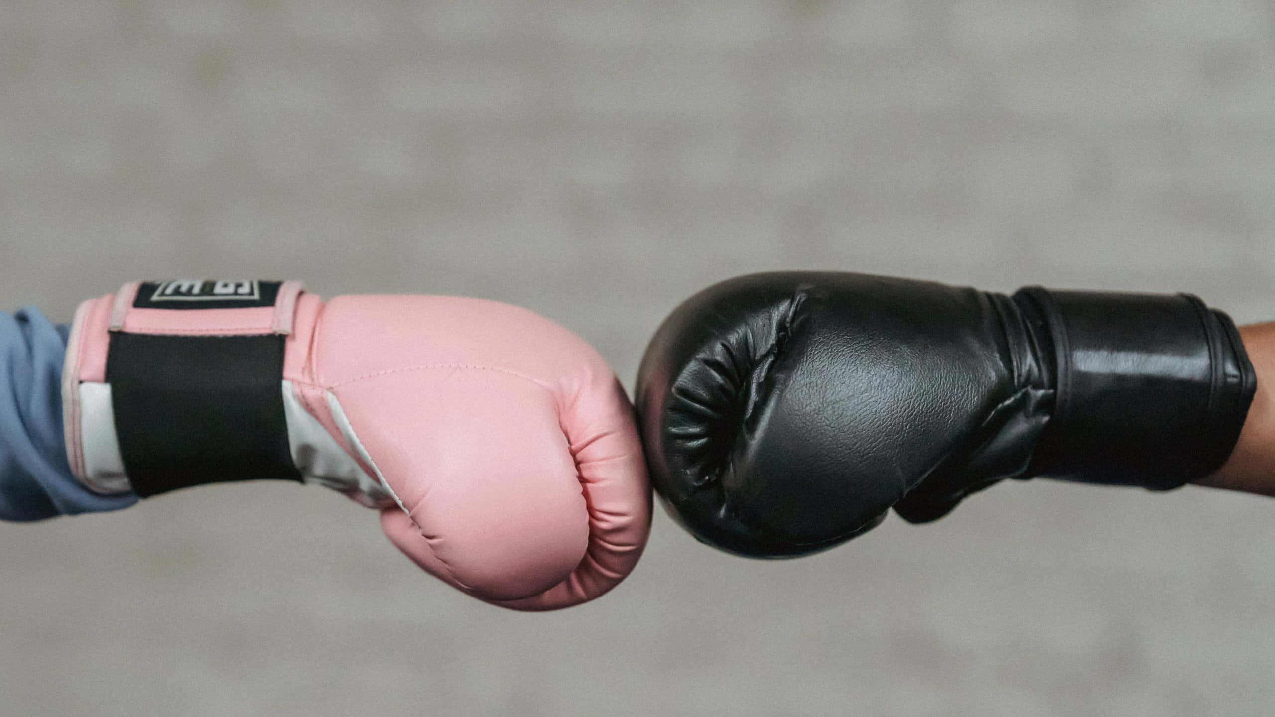 boxing gloves, pink, black, 2K Desktop Wallpaper