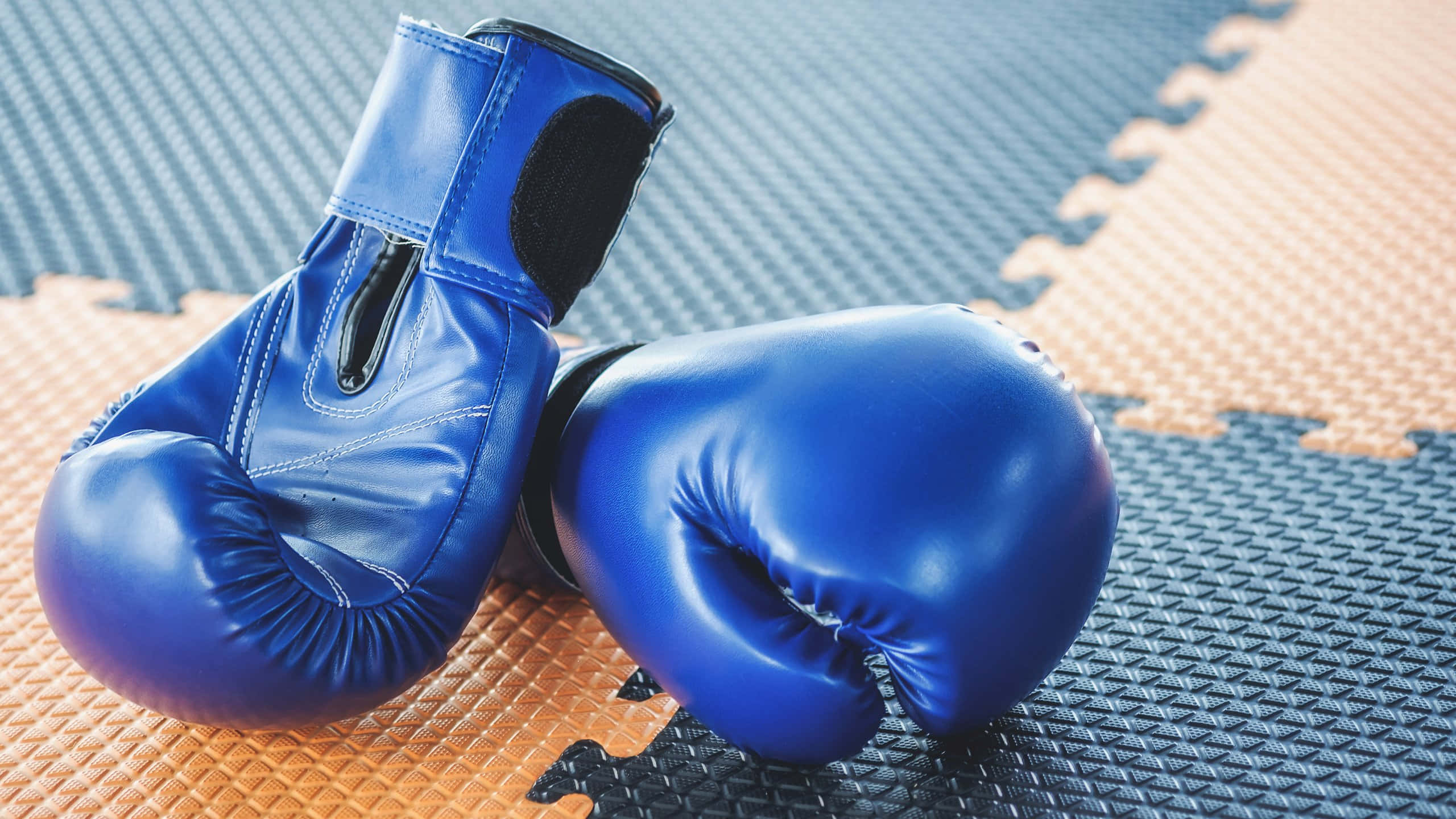 blue boxing gloves, blue and tan interlocking gym mat, shiny, 2K Desktop Wallpaper
