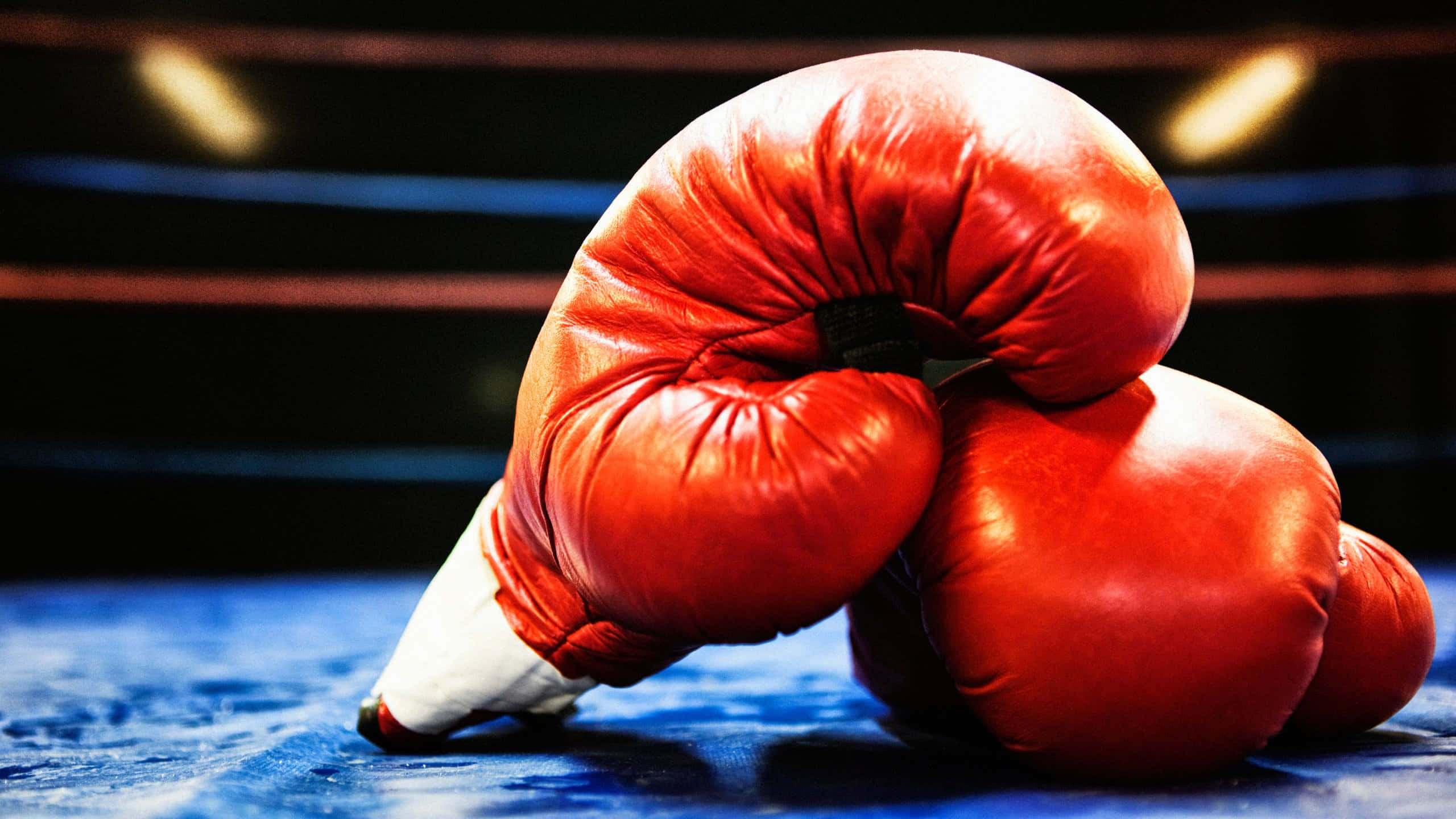 red boxing gloves, blue ring mat, bright arena lights, 2K Desktop Wallpaper