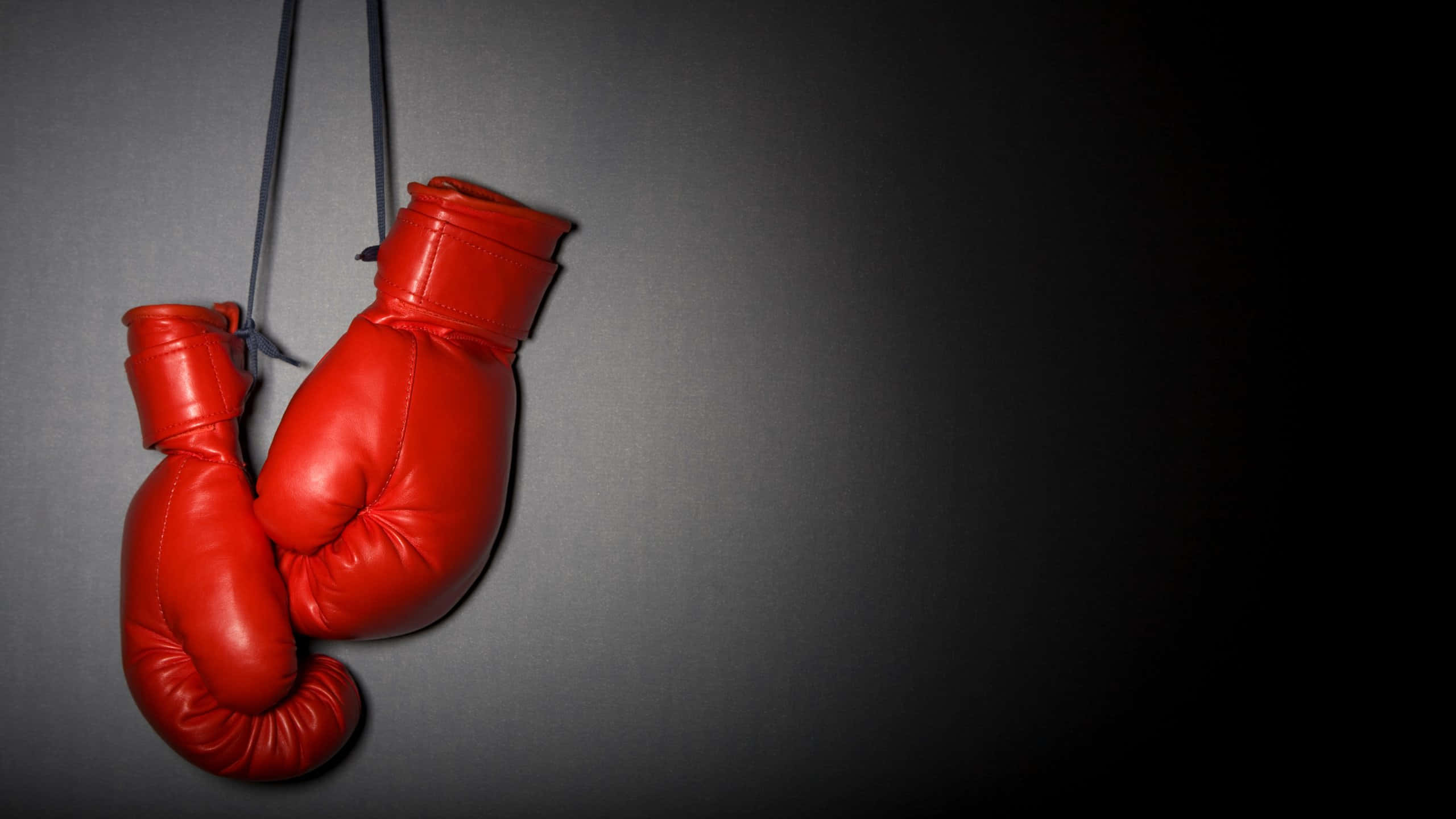 red boxing gloves, dark gray wall, dramatic spotlighting, 2K Desktop Wallpaper