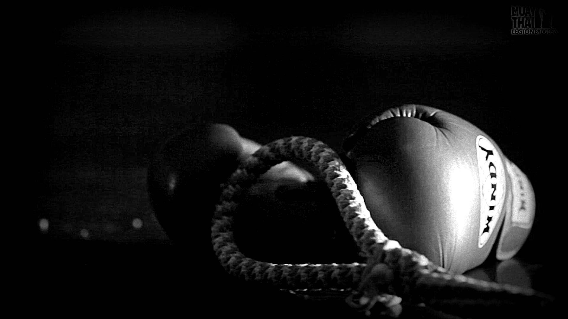 Muay Thai Gloves, thick rope, shadow, Full HD Desktop Wallpaper