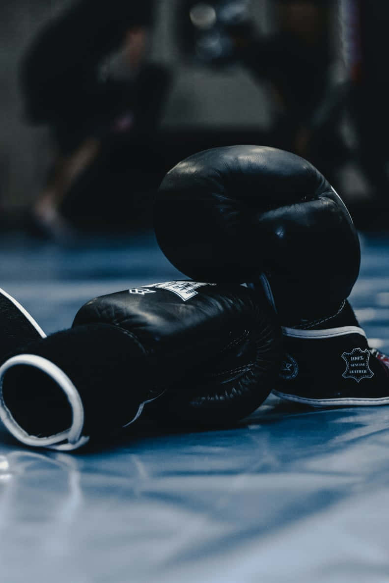 black leather boxing gloves, white trim, blue matted floor, SD Phone Wallpaper