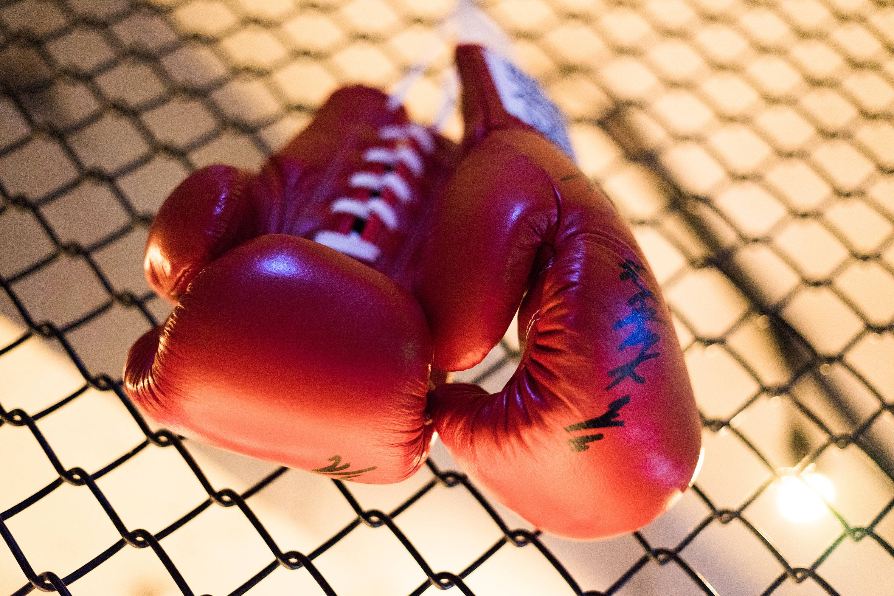 red boxing gloves, black markings, black chain-link fence, 2K Desktop Wallpaper