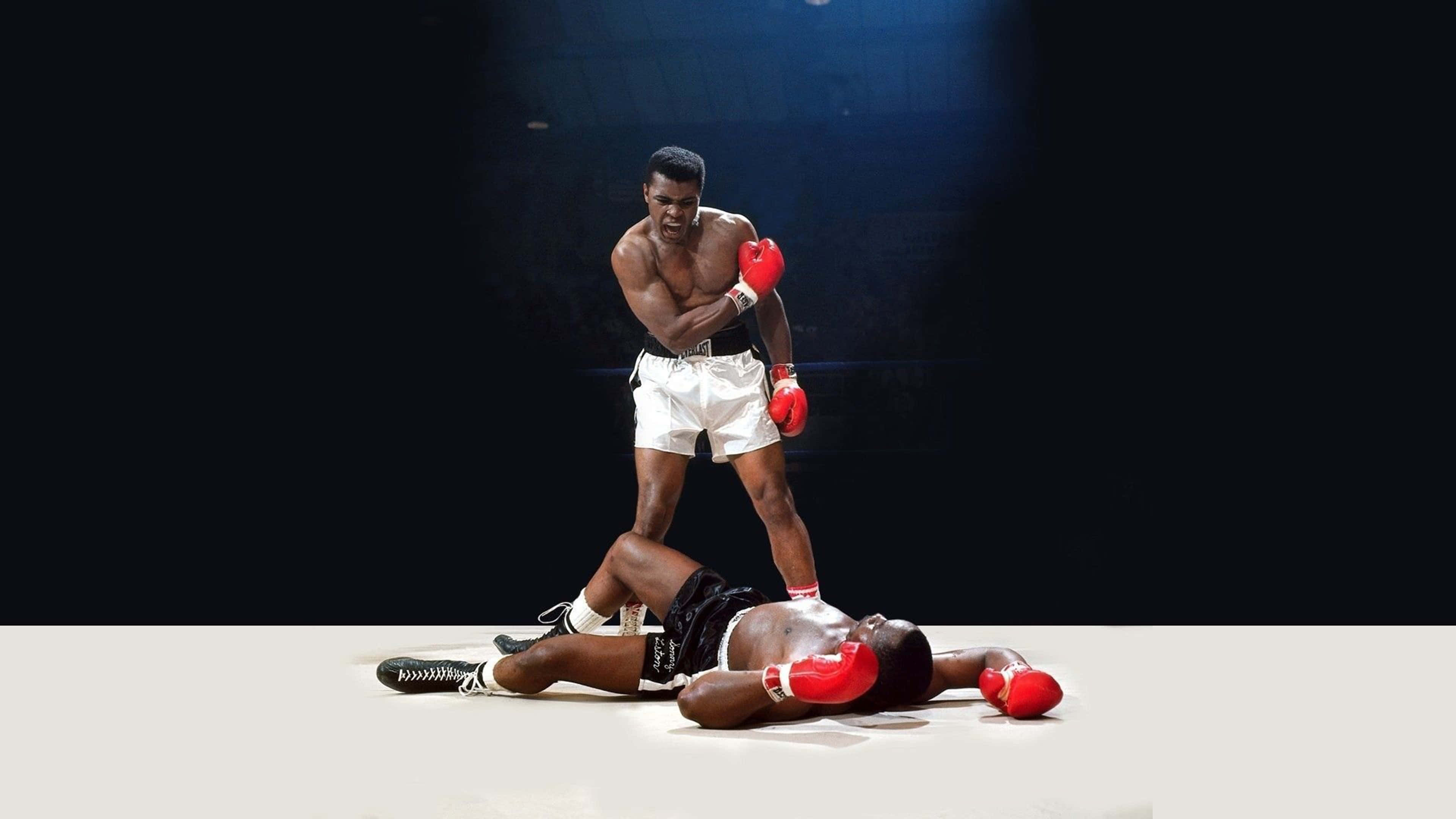 Boxing, ring, spotlight, 4K Desktop Wallpaper