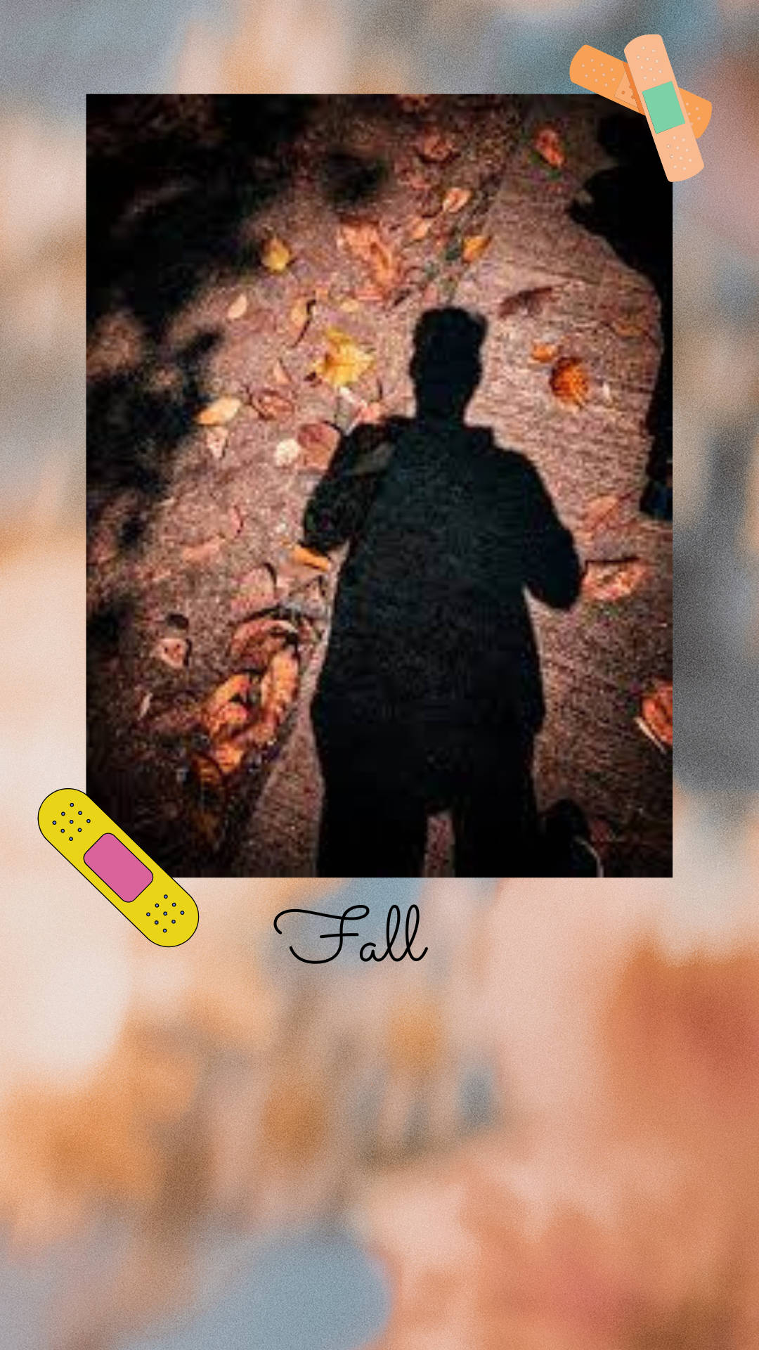 Boy Shadow, fall aesthetic, autumn leaves, Full HD Phone Wallpaper