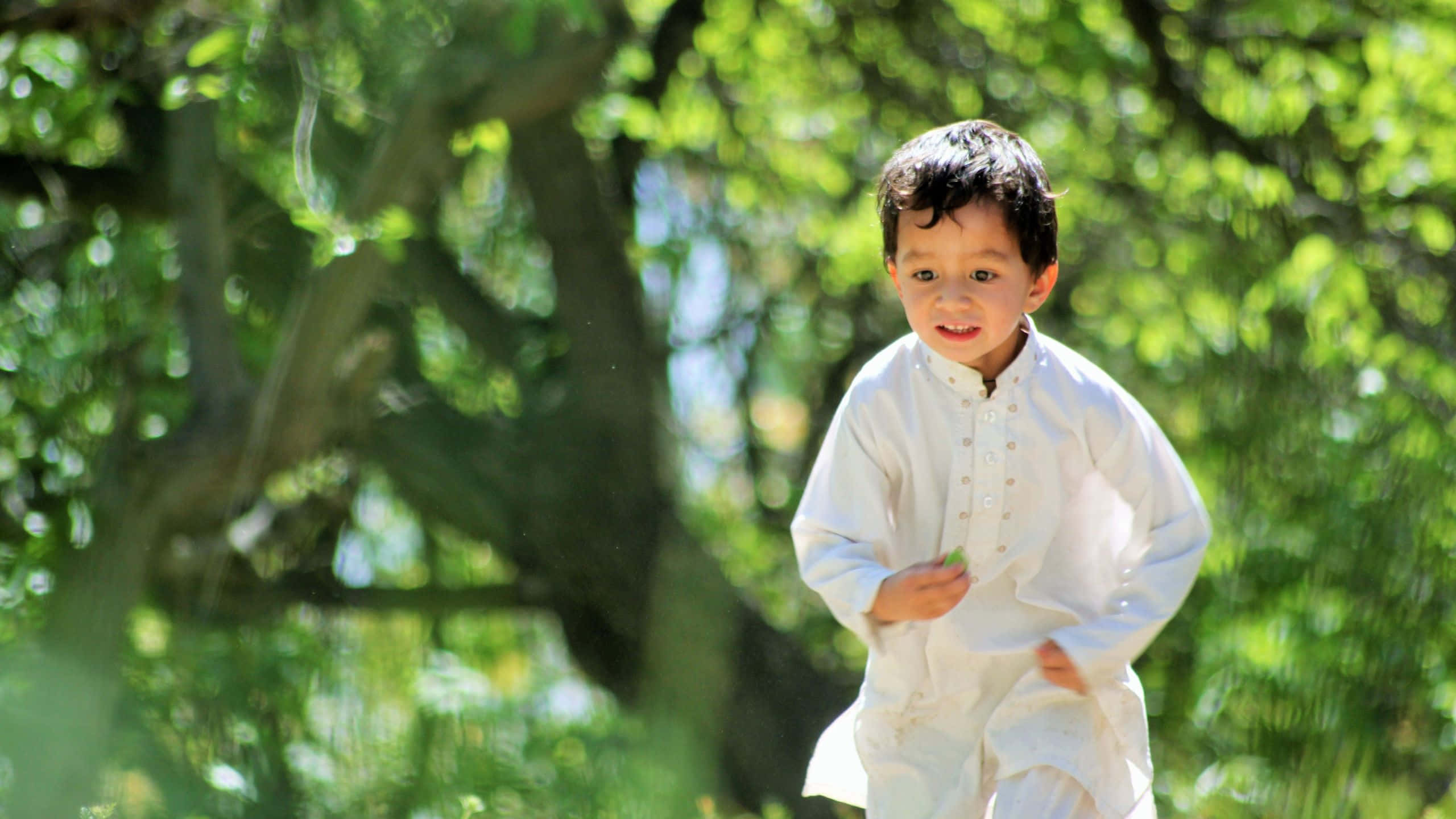 young Muslim boy, white traditional outfit, sunlit forest, 2K Desktop Wallpaper