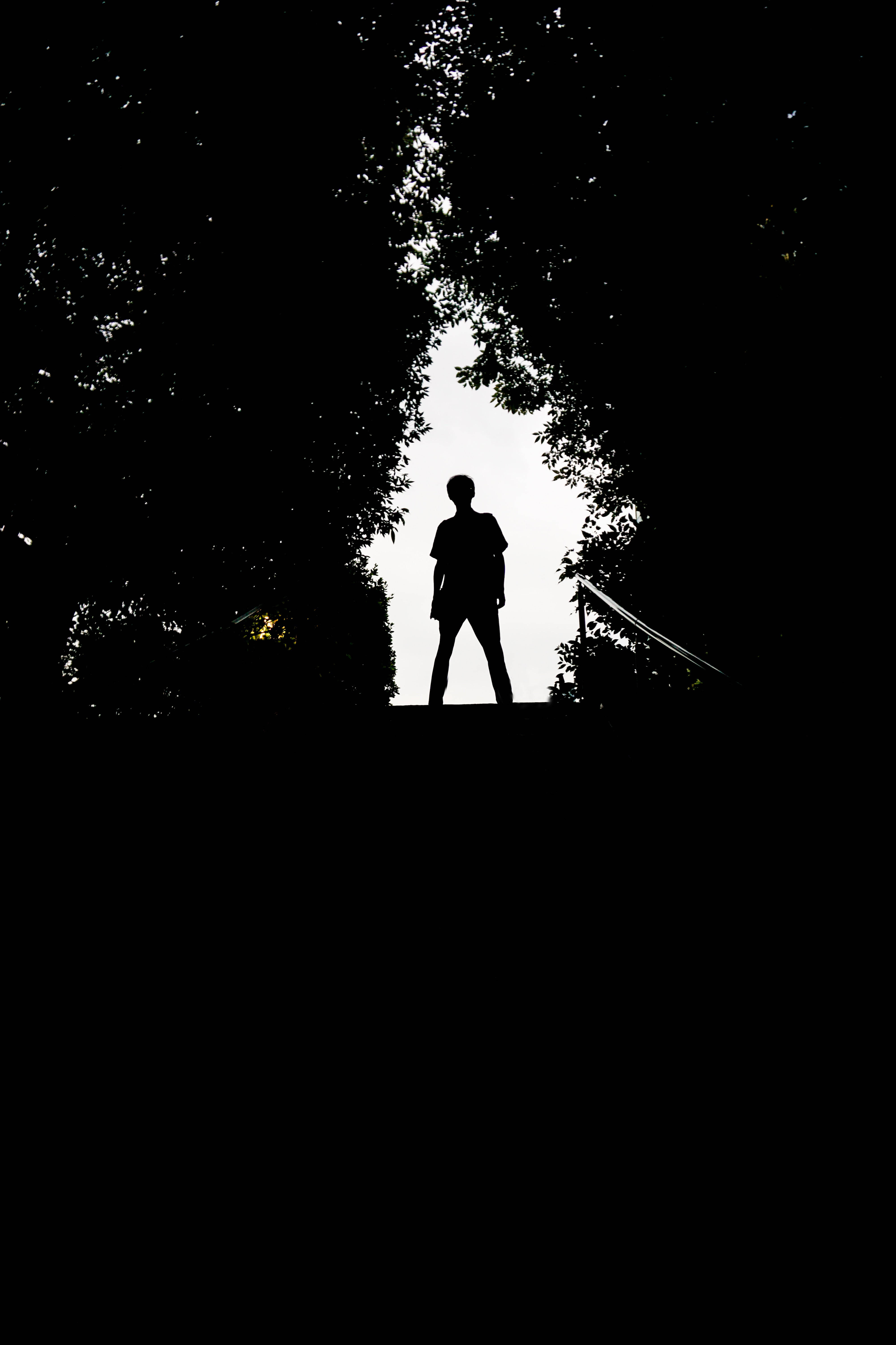 Boy, foliage, tree branches, 5K Phone Wallpaper