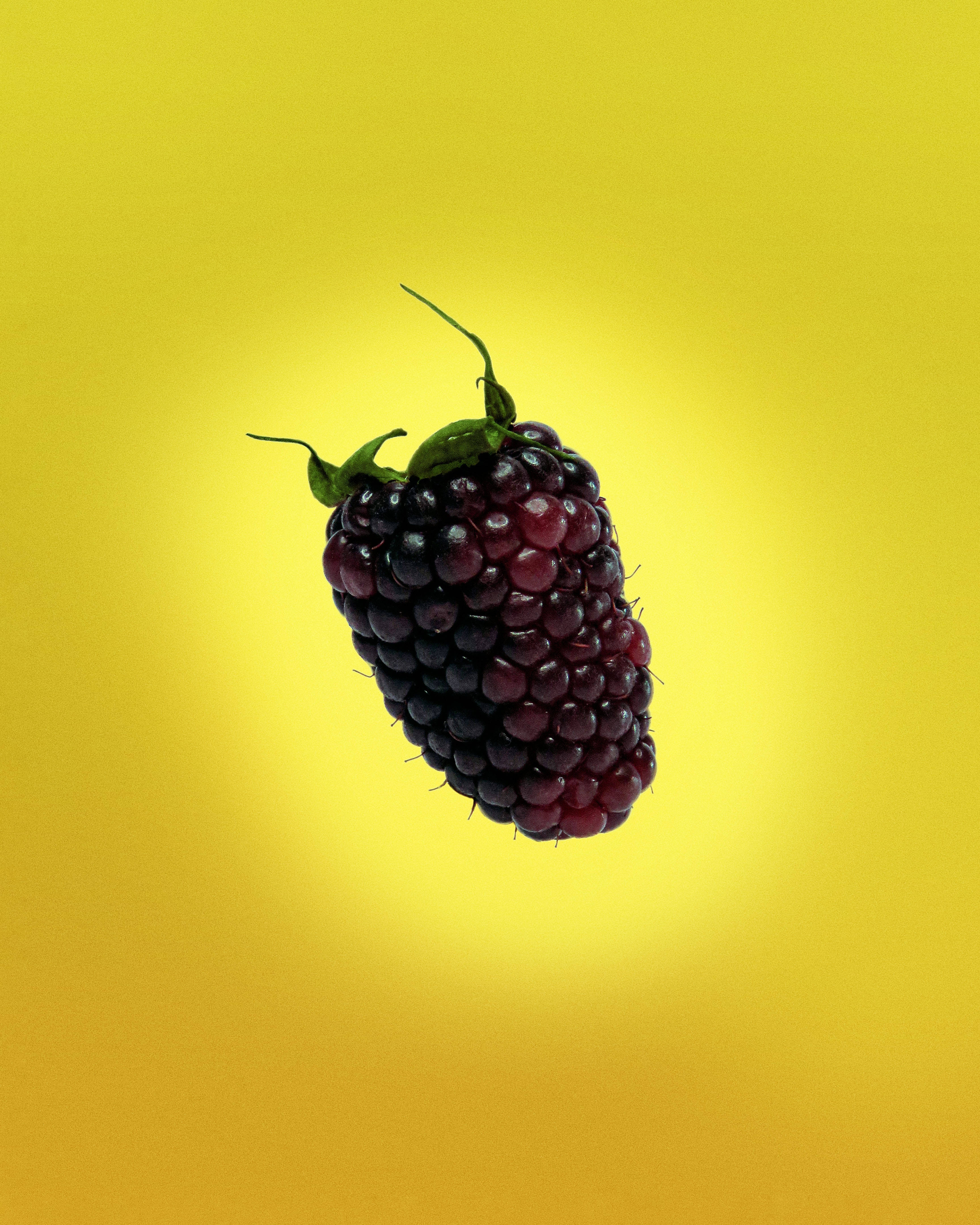 Boysenberry, blackberry, vibrant yellow gradient, 4K Phone Wallpaper